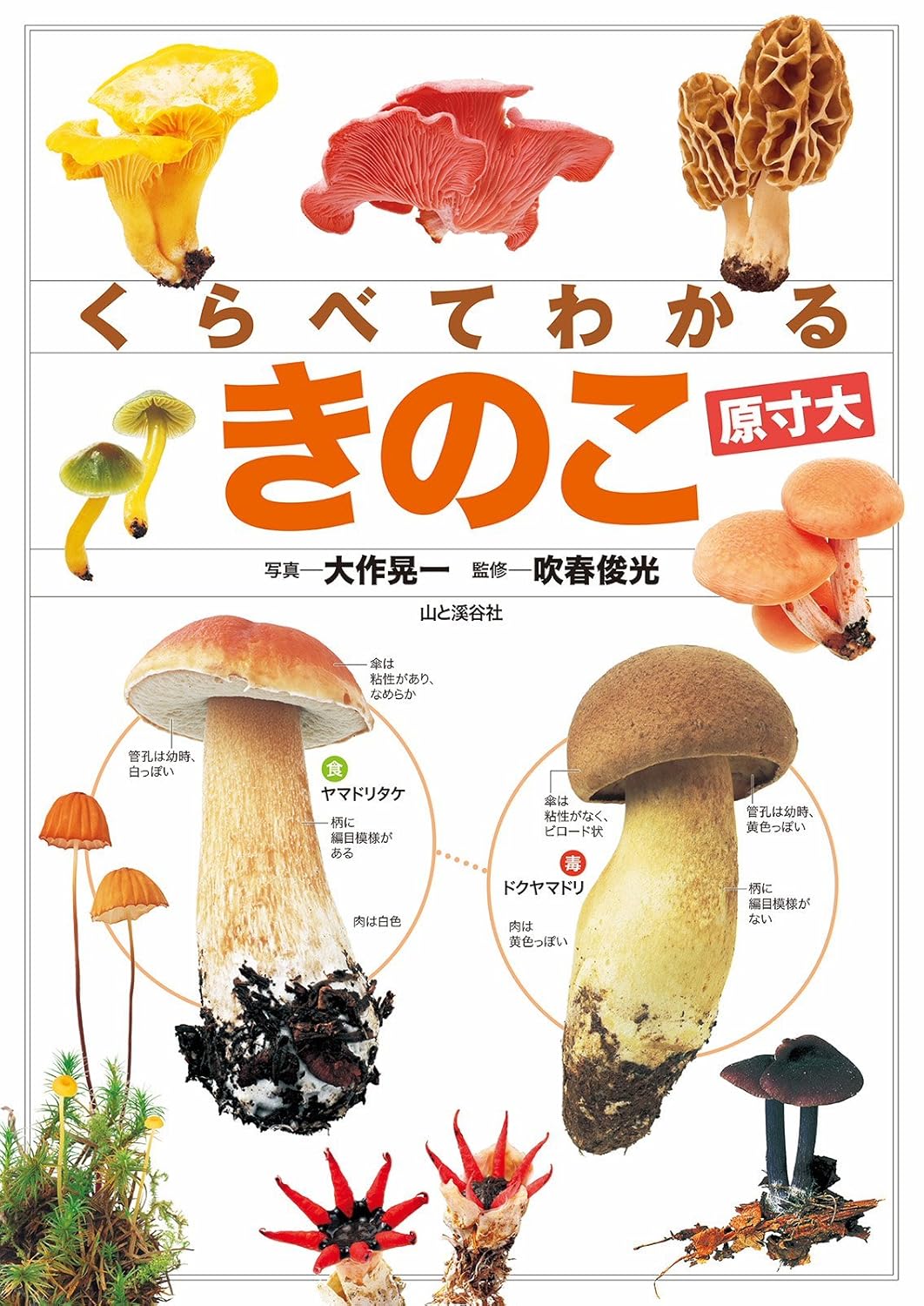 きのこ約440種を似た種類ごとに紹介する図鑑『くらべてわかる きのこ（原寸大）』Kindle版が499円で購入できるセール開催中_001