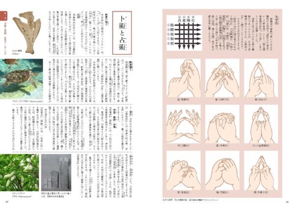 『呪術と科学の有職故実図鑑がが11月27日に発売予定_003