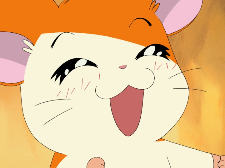 アニメ「とっとこハム太郎」25周年イヤー記念の新情報が「のっぽくん」の誕生日にあわせて一挙公開_006