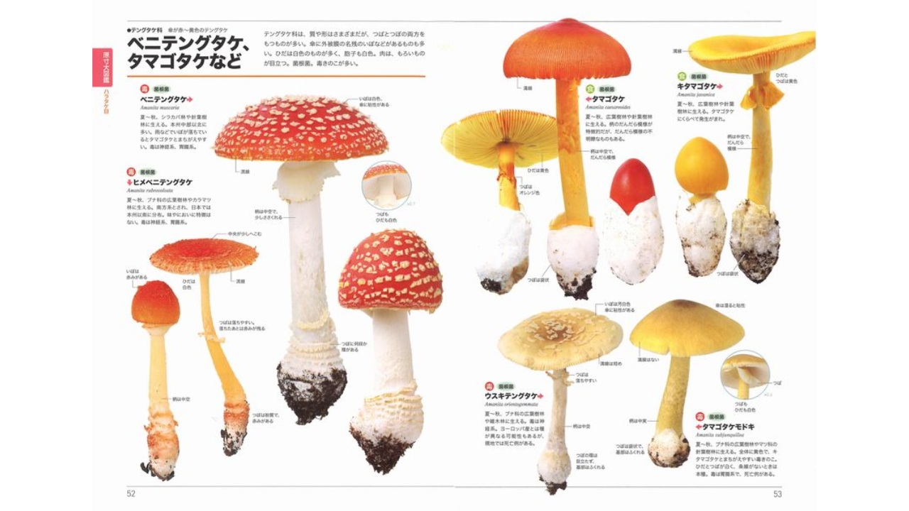 article-thumbnail-2511202e