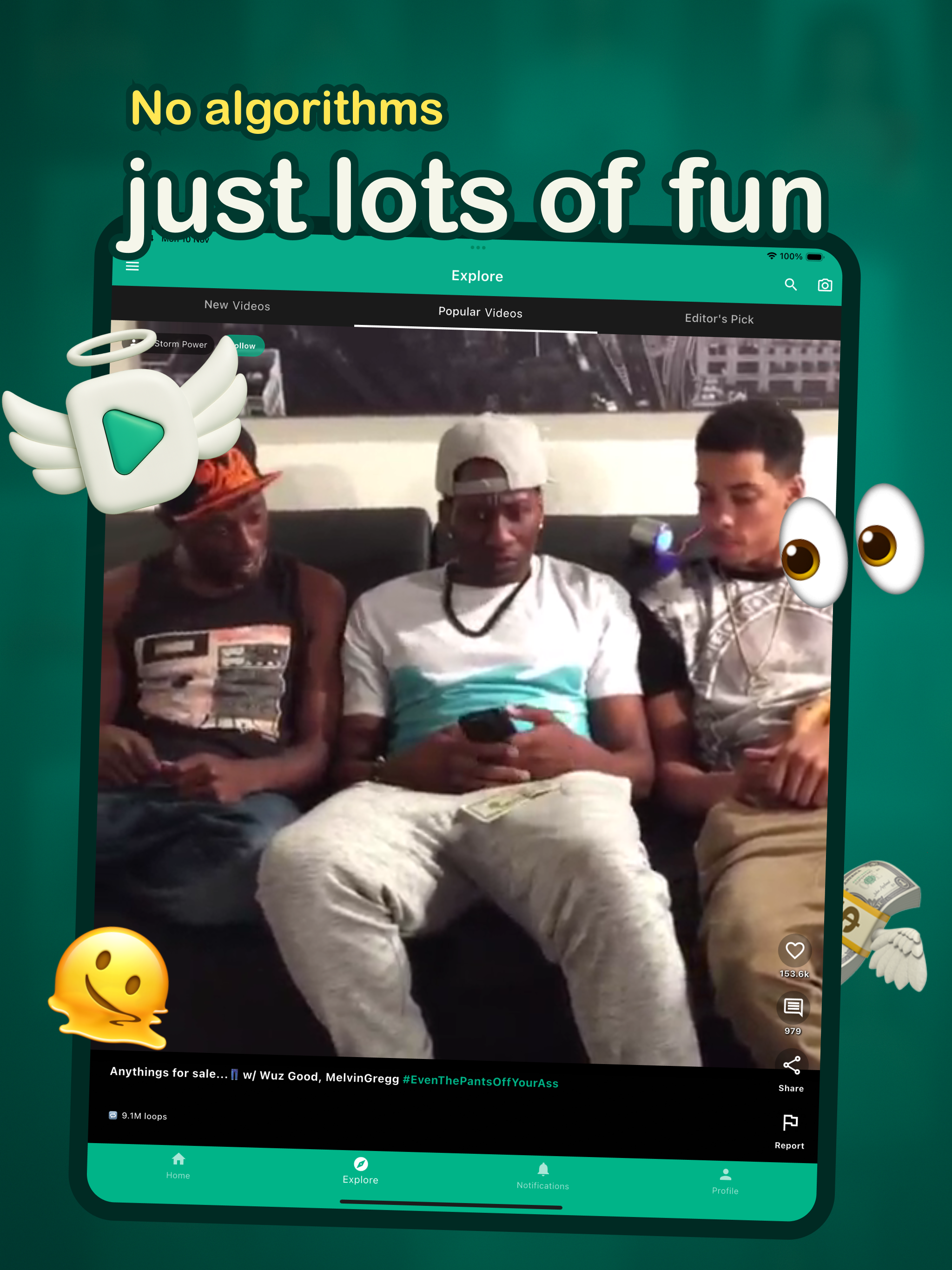 『Vine』が復活！オープンソースのアプリ『DiVine』がサービス開始_004