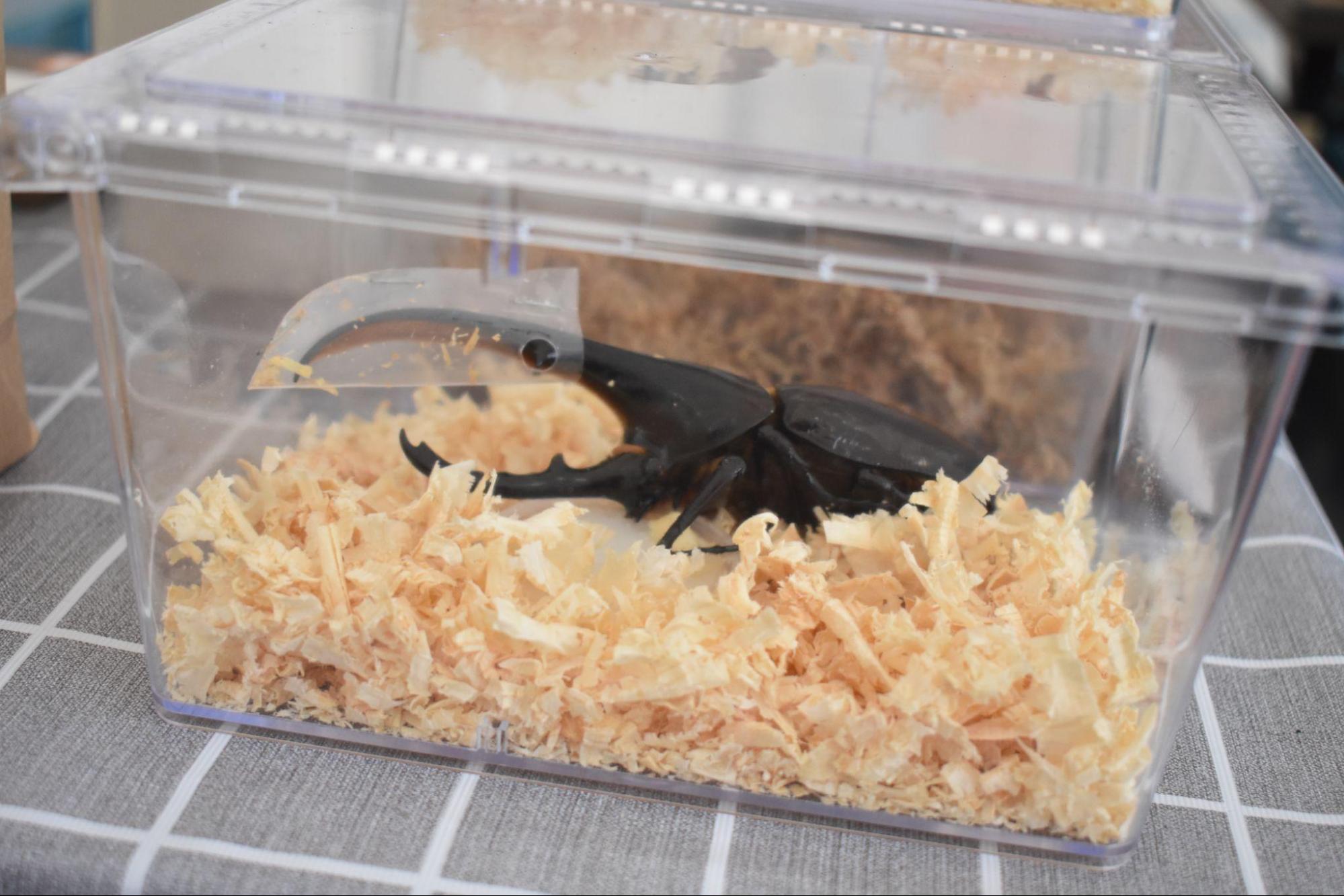 『ファーミングシミュレーター 25』がガチの農業イベント「秋田県種苗交換会」に展示されていた_022