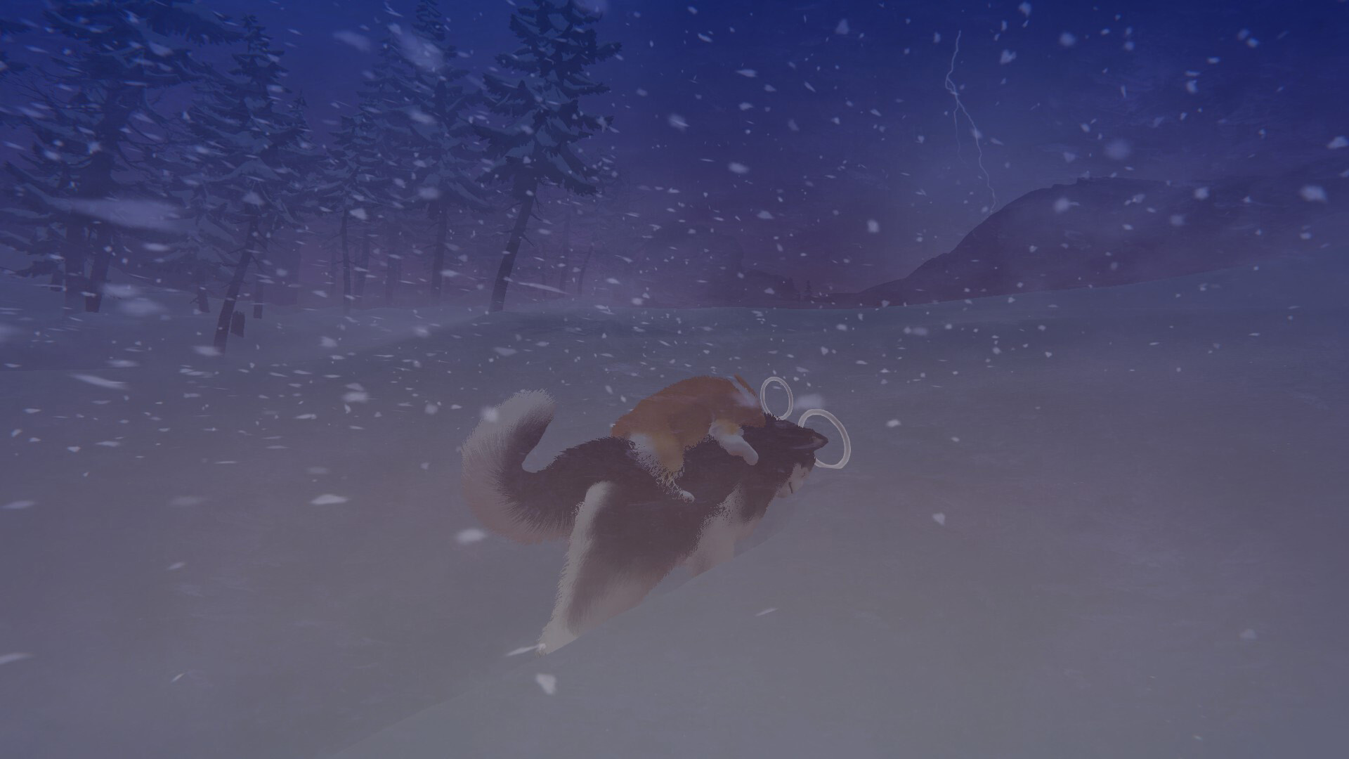 愛犬がご主人と再会するために天国を旅するゲーム『My Little Puppy』本日発売_002