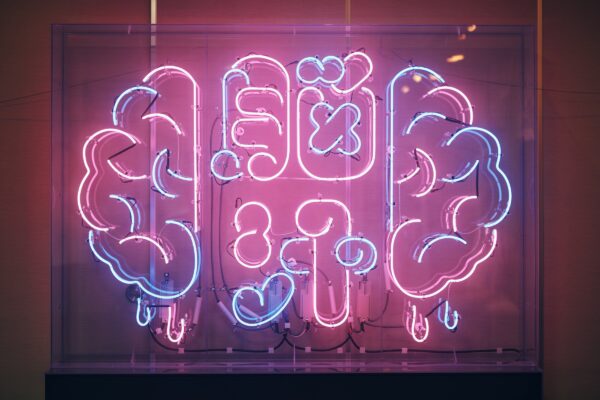 「脳汁銭湯2025」が、11月26日から12月7日までの期間、東京・大田区蒲田の「女塚温泉 改正湯」にて開催_010