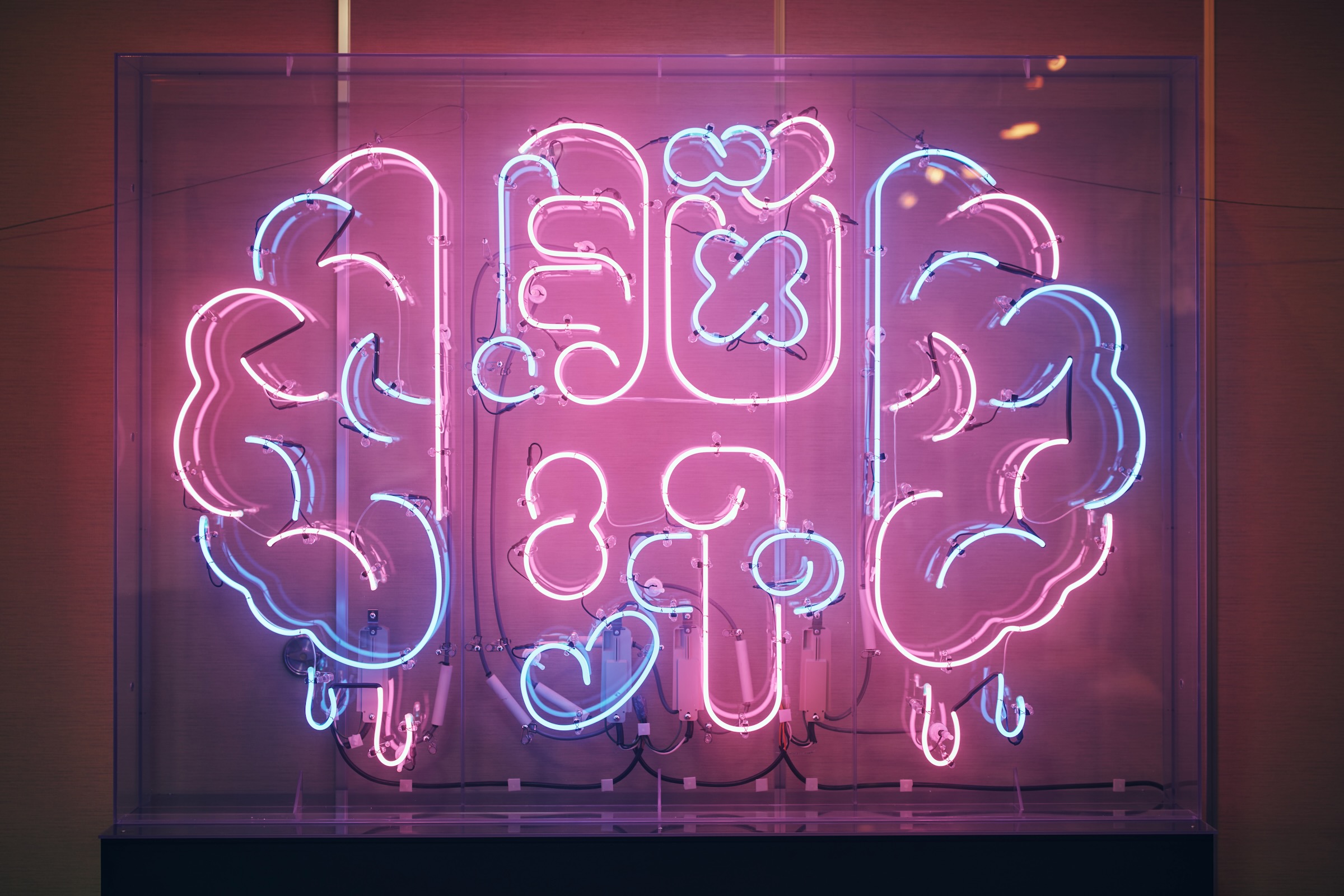 「脳汁銭湯2025」が、11月26日から12月7日までの期間、東京・大田区蒲田の「女塚温泉 改正湯」にて開催_003