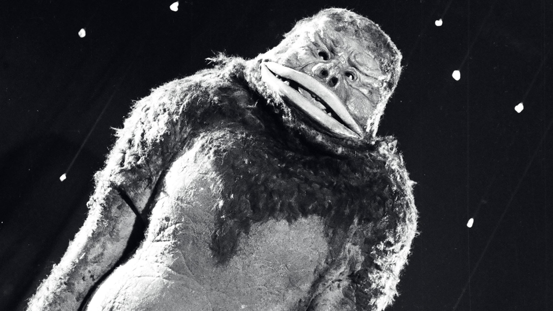 「ウルトラマン」シリーズ29作品の配信がABEMAで決定_008