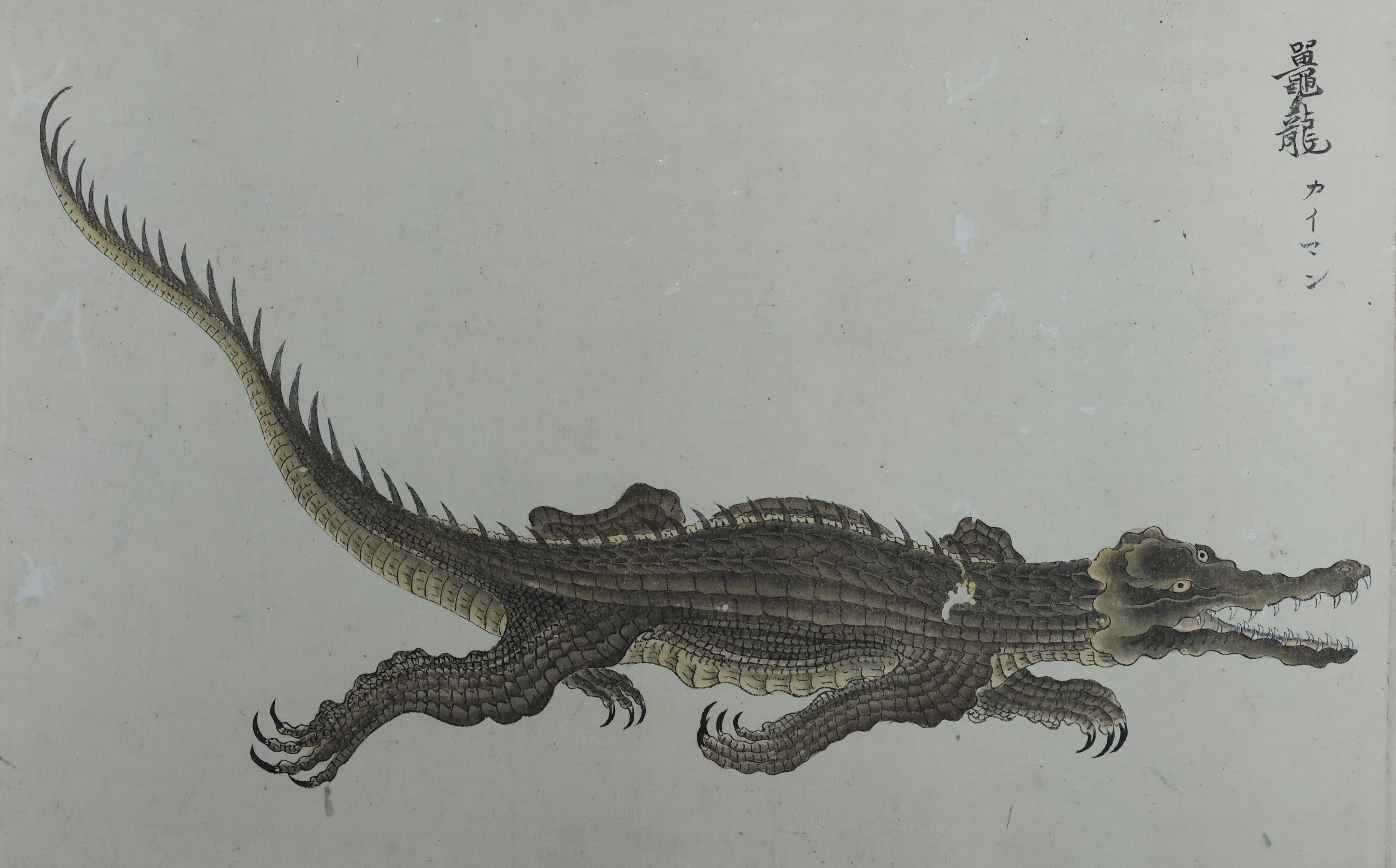 国立科学博物館にて企画展「ワニ」が11月26日より開催決定。シンプルな企画展名とワニの写真が目を引くポスターが印象的_008