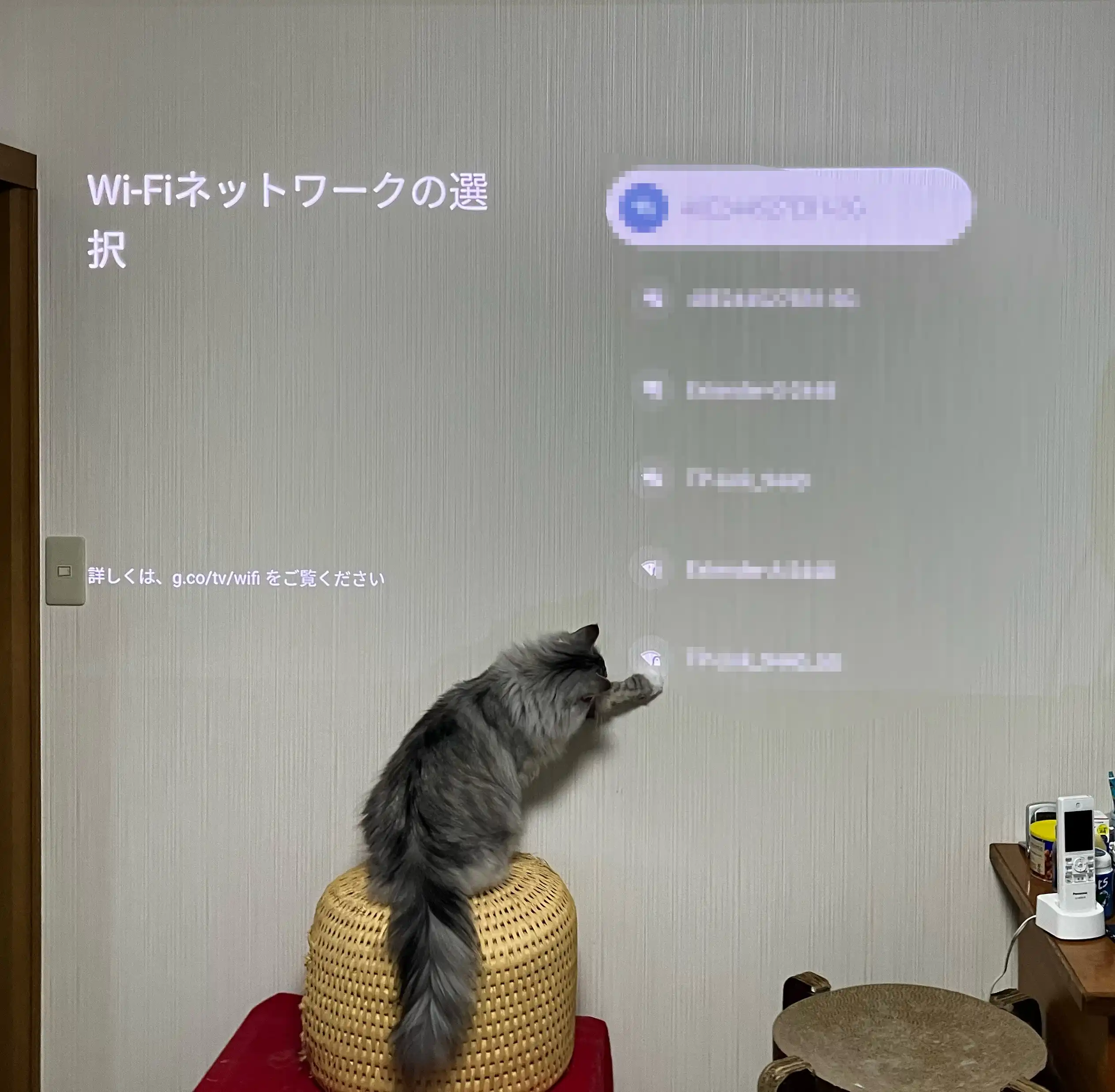 “45万円”の高級プロジェクターが我が家が届いたので、家を取り壊そうと思います_004