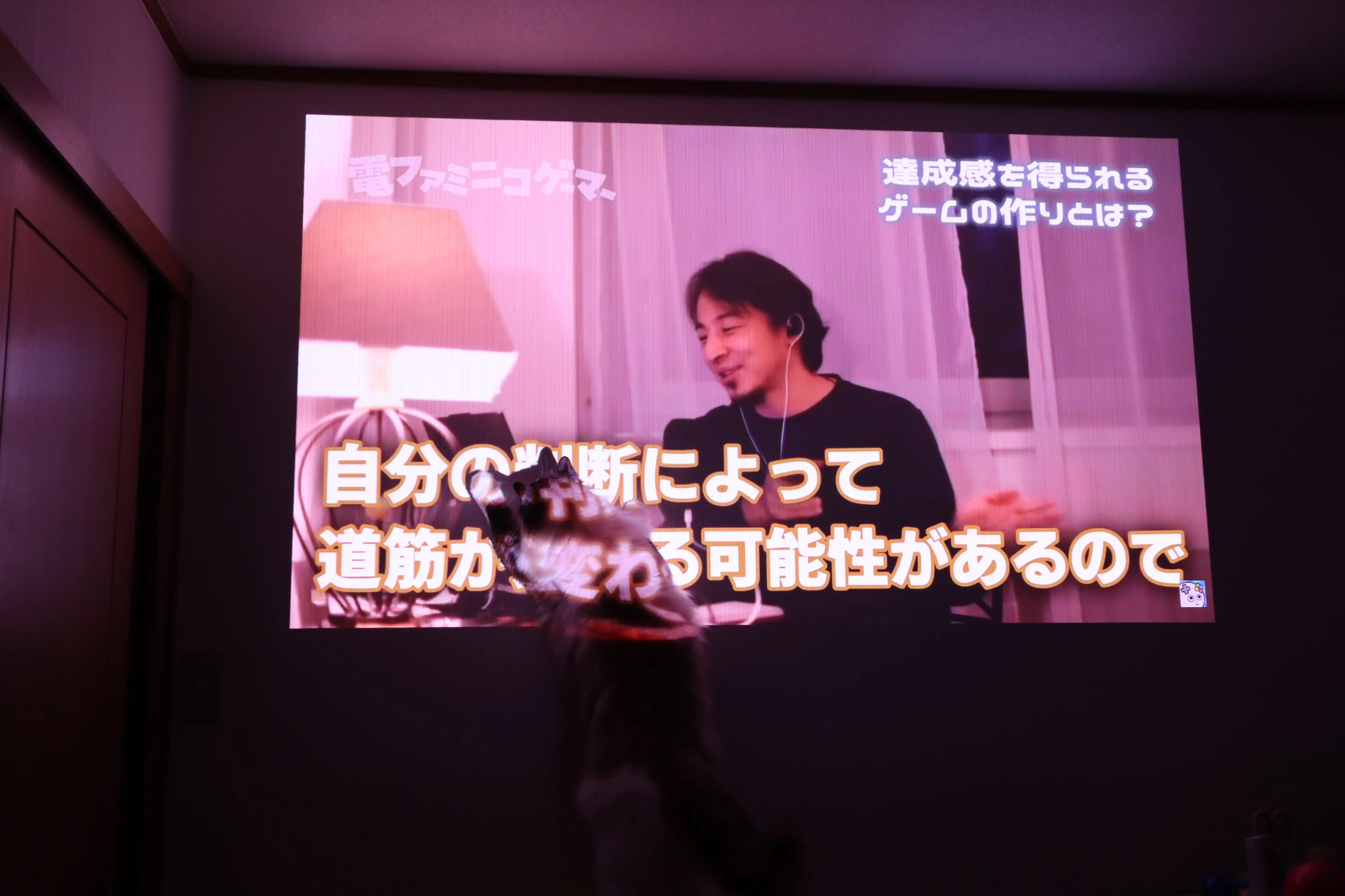 “45万円”の高級プロジェクターが我が家が届いたので、家を取り壊そうと思います_010