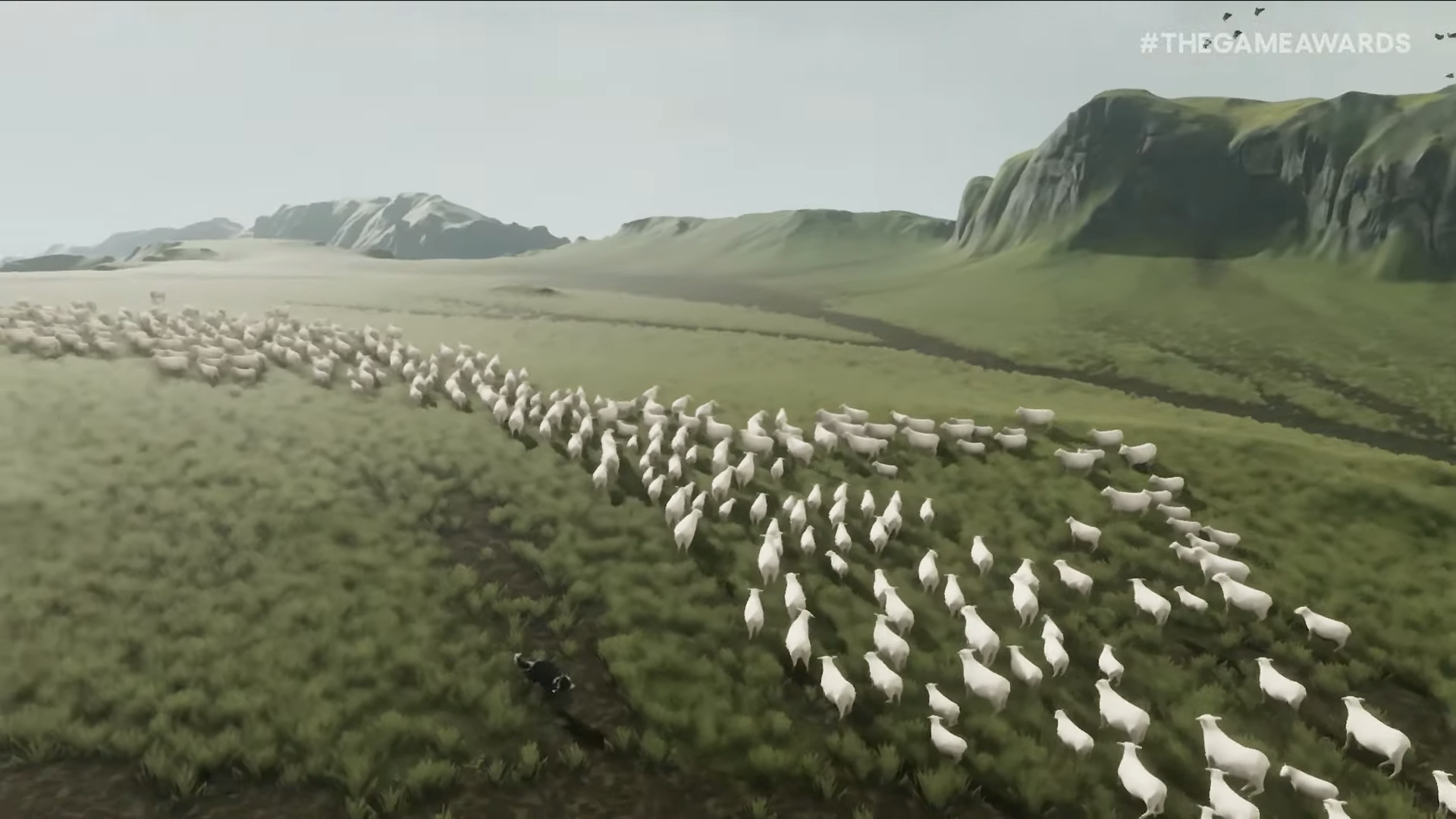 牧羊犬となって、羊を導きながら冒険する『the free shepherd』が2027年に発売決定_002