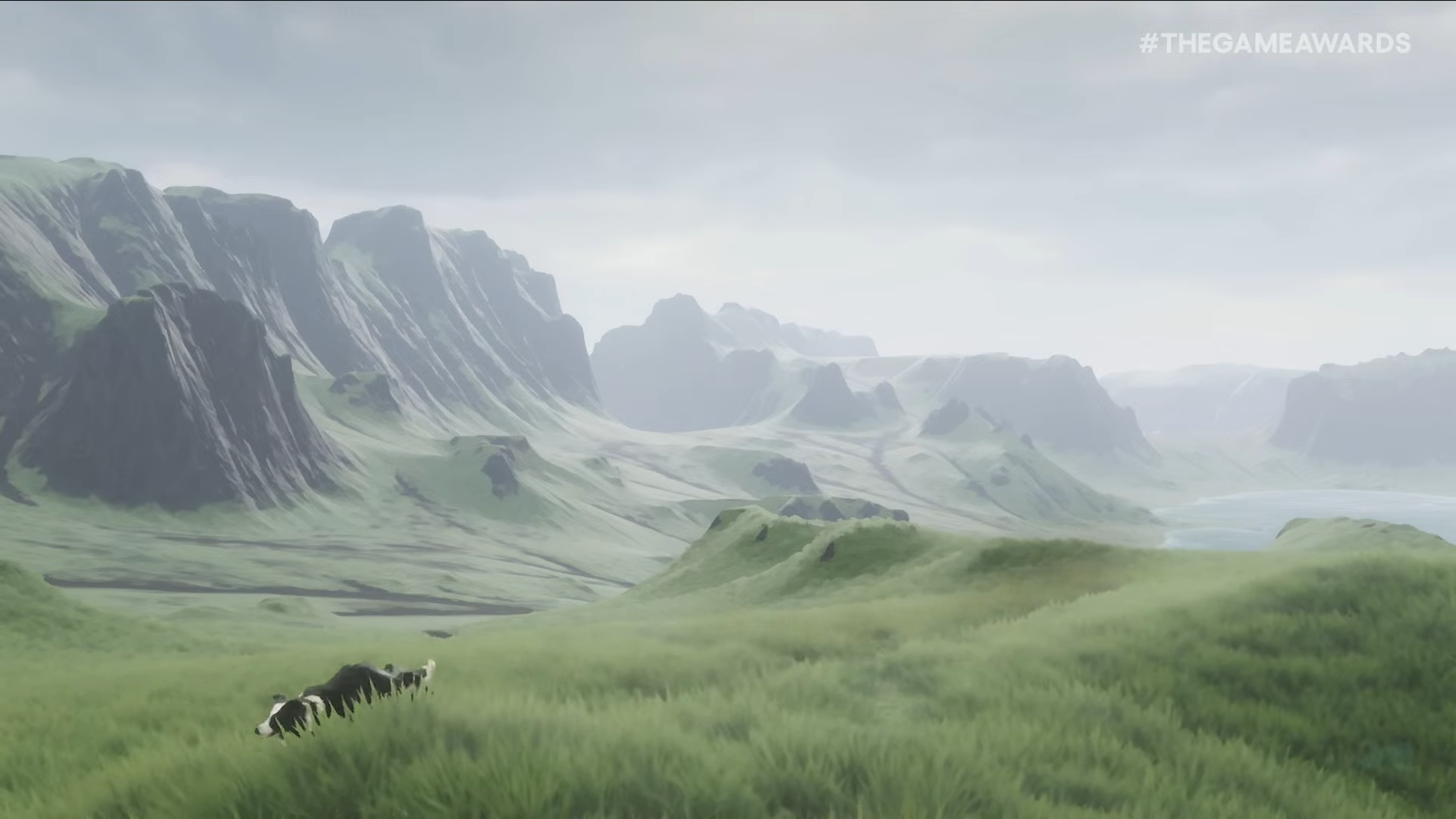 牧羊犬となって、羊を導きながら冒険する『the free shepherd』が2027年に発売決定_003