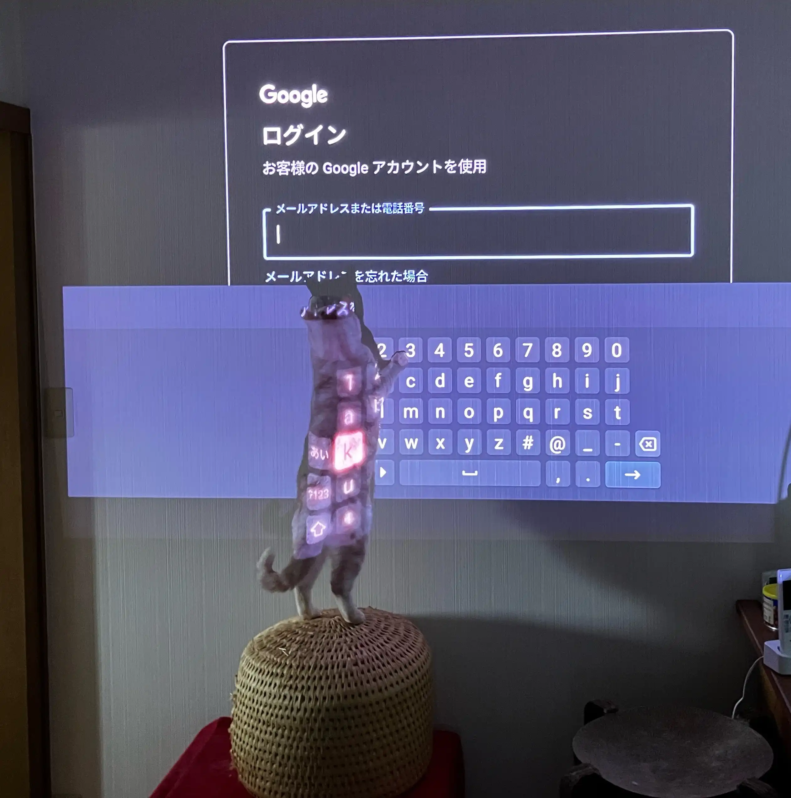 “45万円”の高級プロジェクターが我が家が届いたので、家を取り壊そうと思います_019