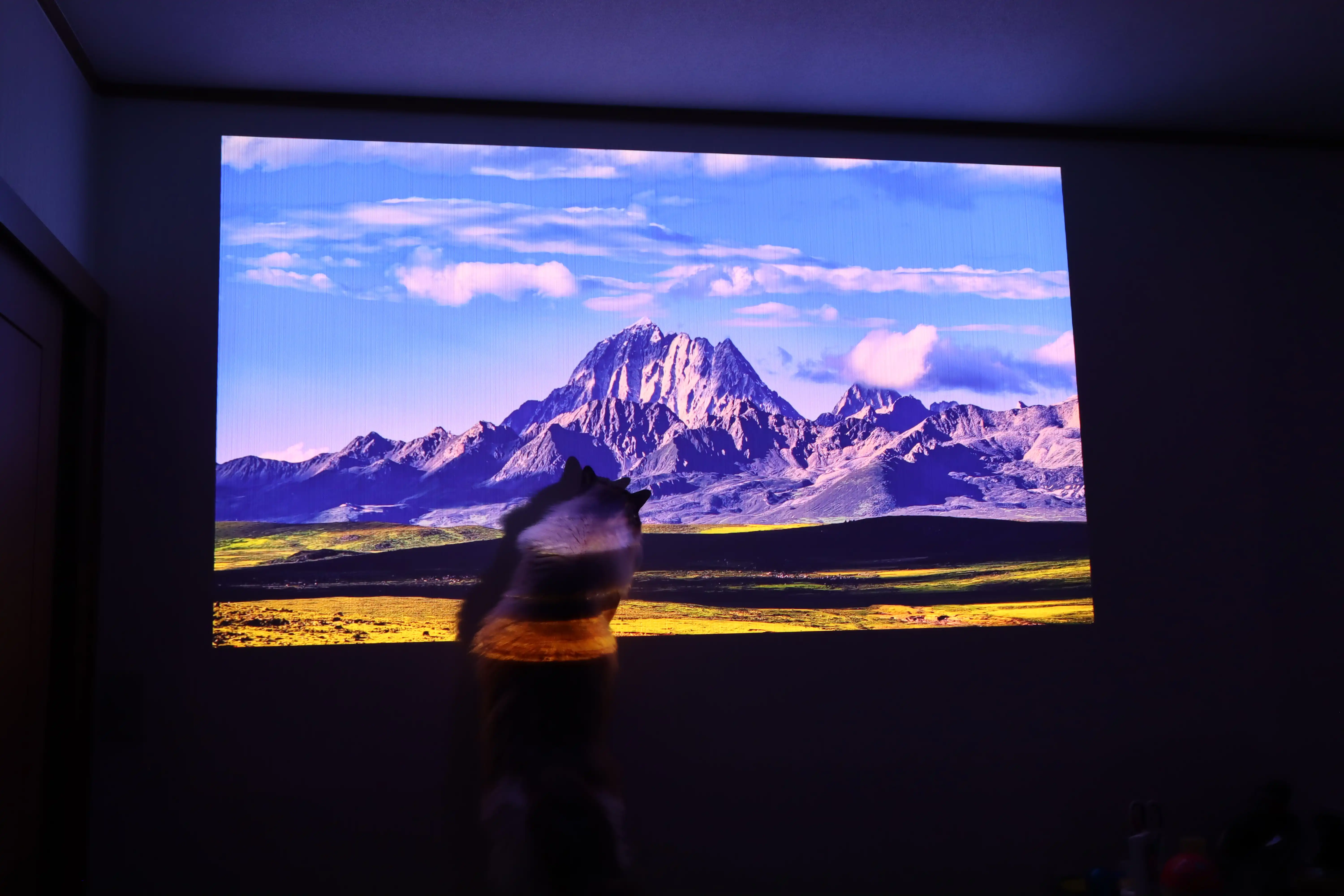 article-thumbnail-251226z