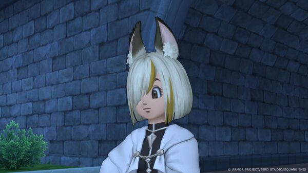 『ドラクエX』最新追加パッケージ『時空の迷い子たち オンライン』が2026年6月25日に発売決定！_021