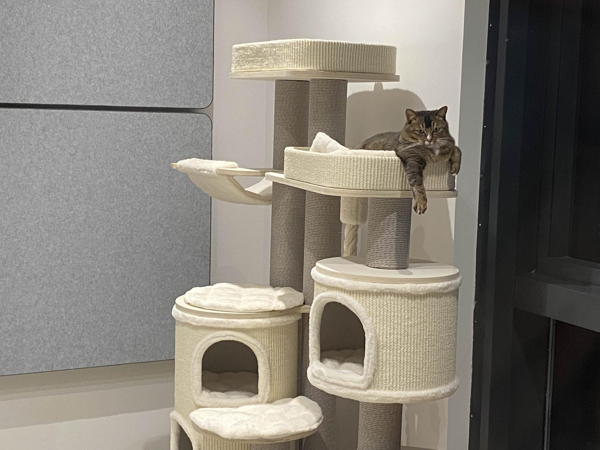 『鳴潮』大型アップデート(Ver3.0)先行プレイレポート。新たな移動手段「エクスペディションバイク」が快適すぎる_040