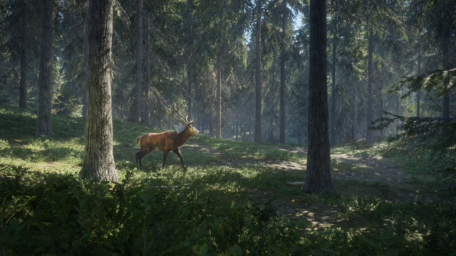 リアル志向・8人マルチ対応の狩りゲー『theHunter: Call of the Wild』が89％オフの253円で買える_005