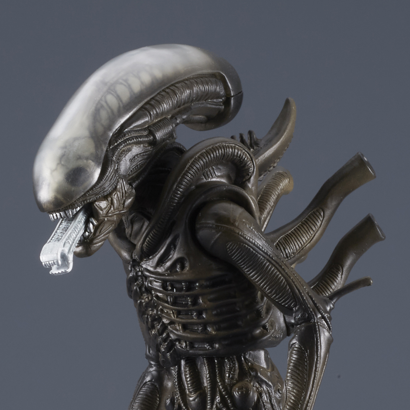 映画『エイリアン』のカプセルトイが12月中旬より登場_009