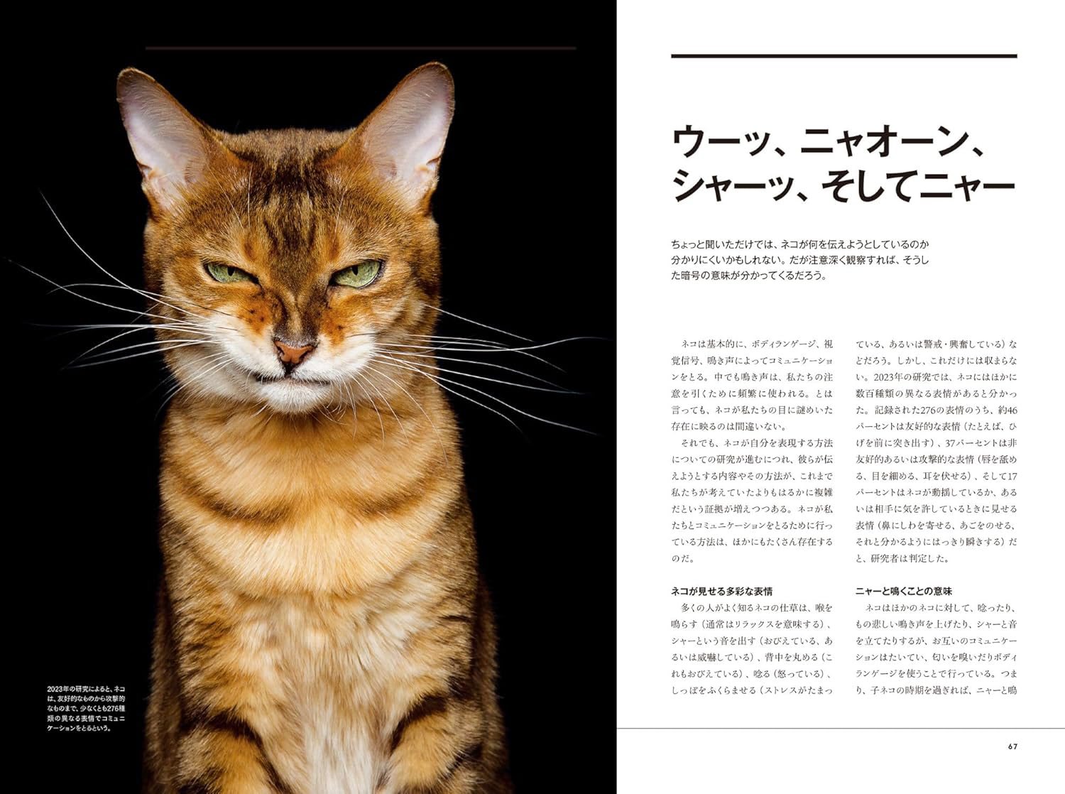 『ネコは天才 私たちが夢中になる理由』が本日発売。ネコの写真もたくさん収録_003