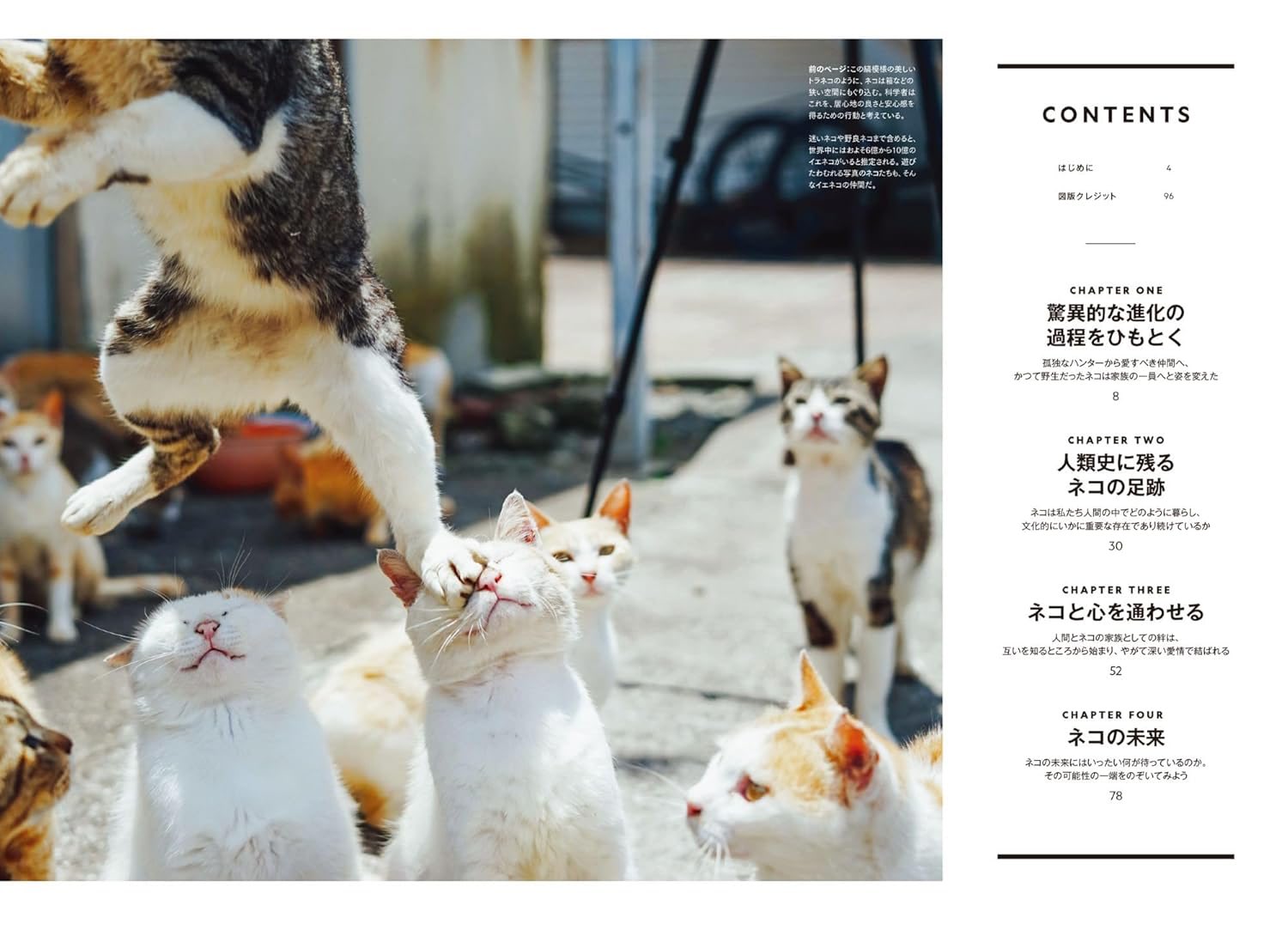 『ネコは天才 私たちが夢中になる理由』が本日発売。ネコの写真もたくさん収録_002