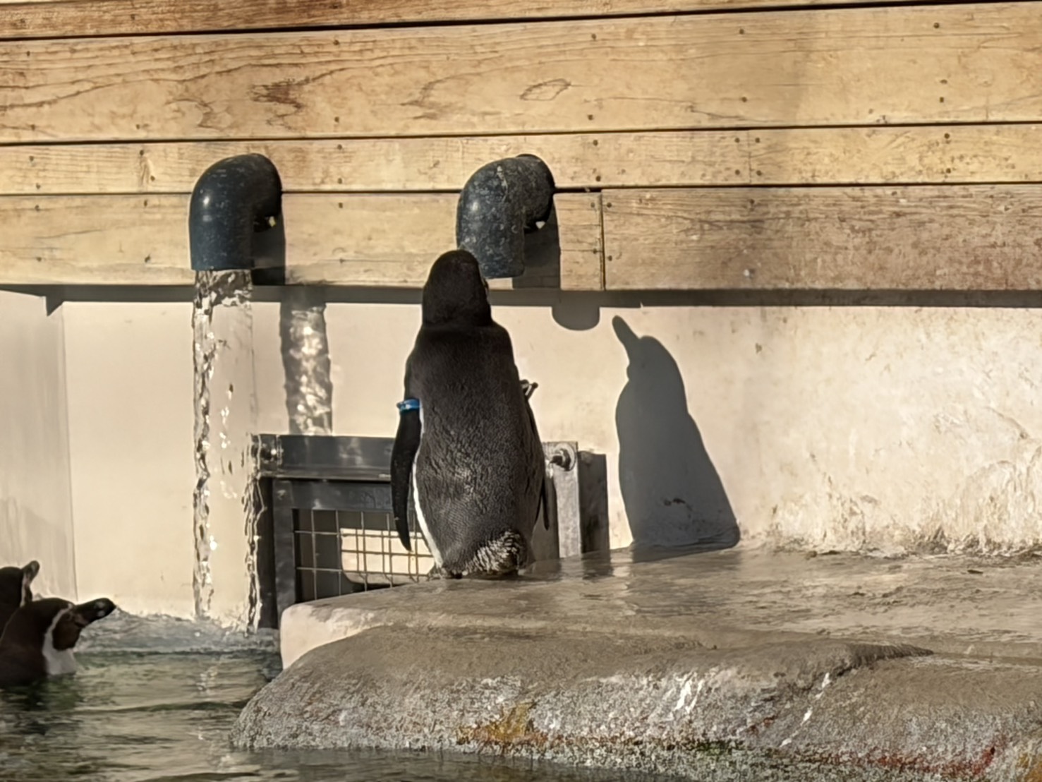 声優・黒木ほの香エッセイ「思い立ったら行動派へのすすめ」：黒木ほの香のどうか内密に。_003