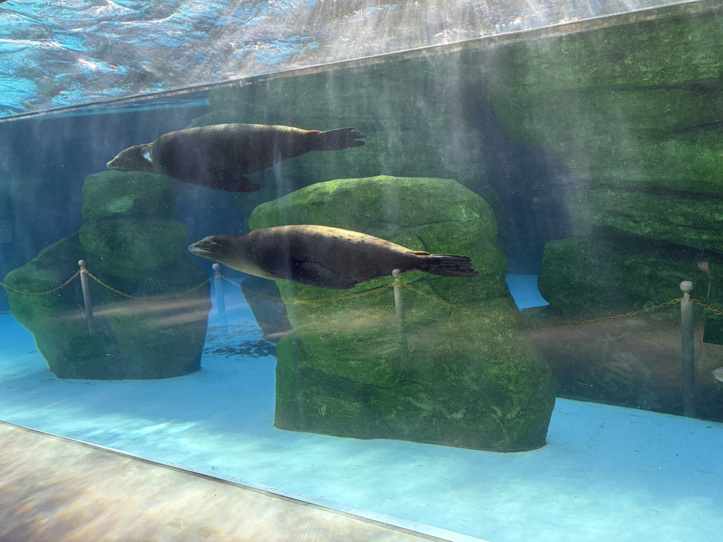 声優・黒木ほの香エッセイ「思い立ったら行動派へのすすめ」：黒木ほの香のどうか内密に。_006