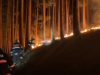 マンガ『ゆるキャン△』とタイアップした林野火災予防のリーフレットが公開_002
