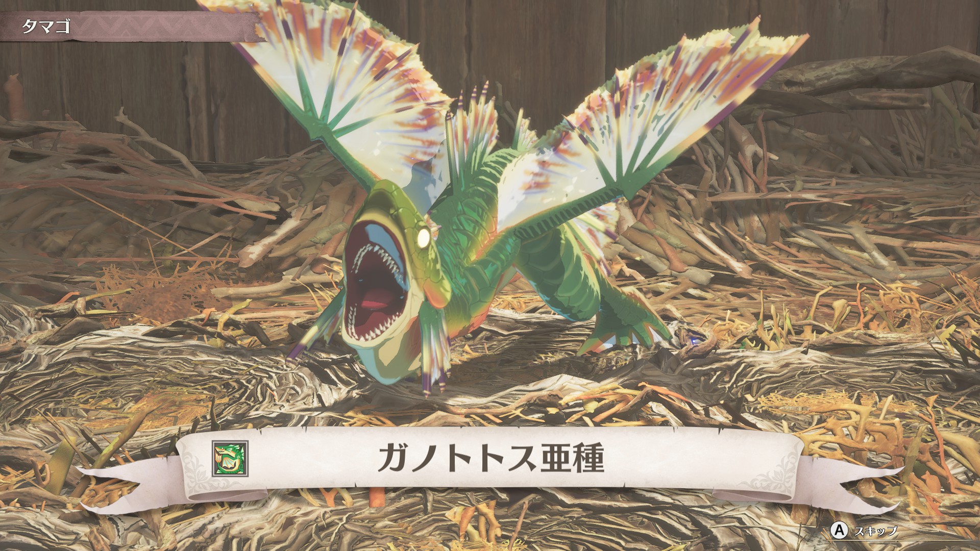 【先行プレイ】「当たり判定が理不尽」で有名なガノトトスの「亜空間タックル」がついに自分でぶっぱなせるようになった！！！_007