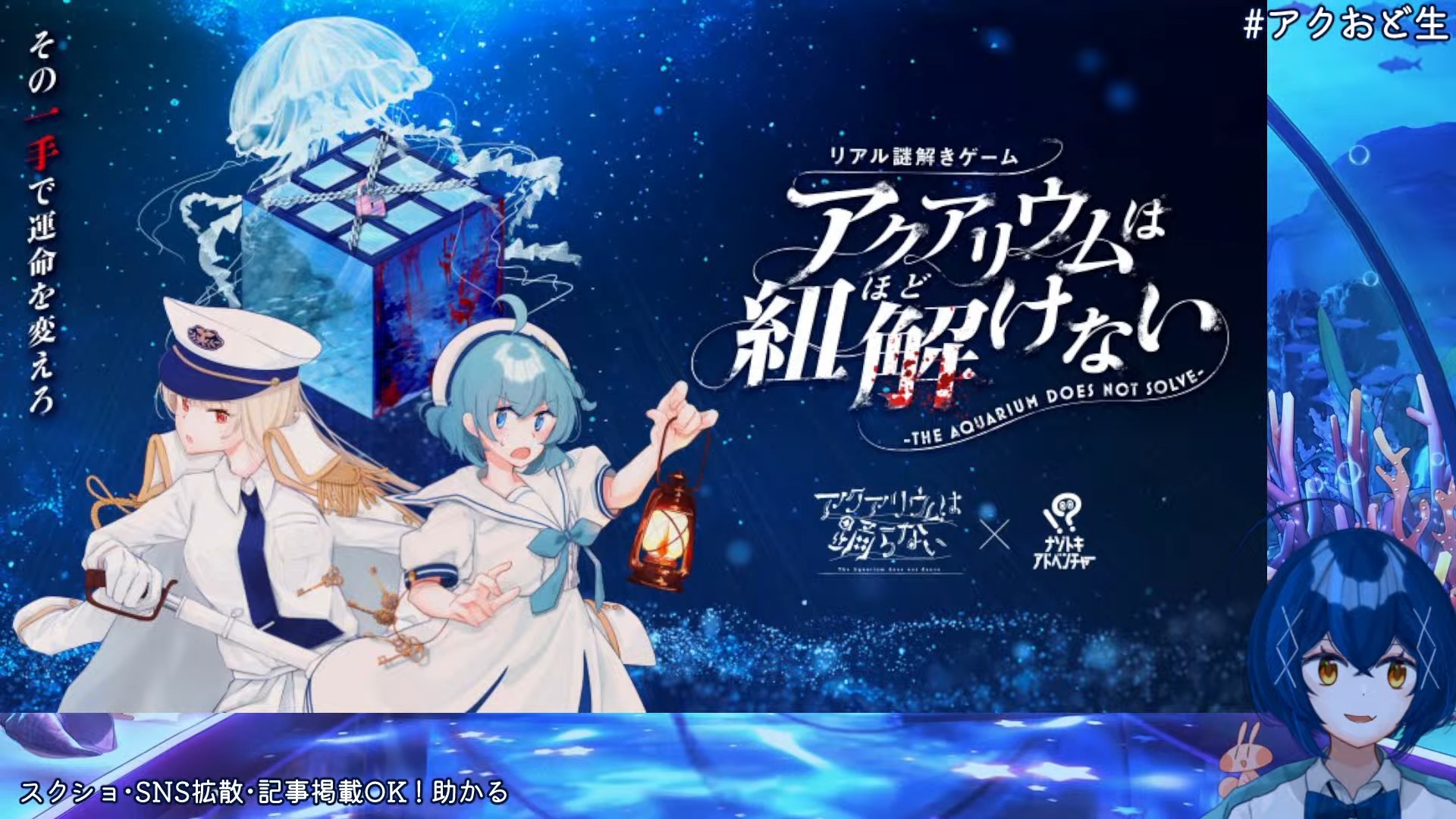 『アク踊』の新作『アクアリウムは踊らない～死にたがりのアイドル～』発表！新キャラ「ヒカル」「ホンソメワケベラ」も公開_009