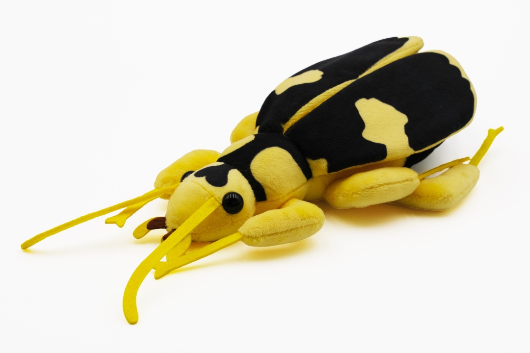 article-thumbnail-2602192l