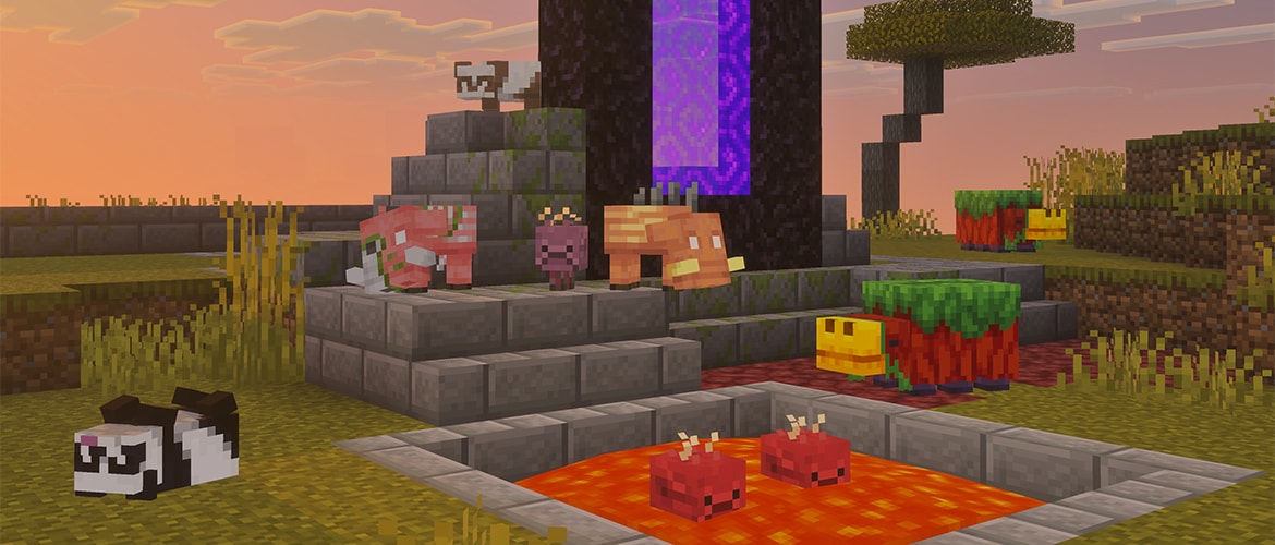 article-thumbnail-260218b