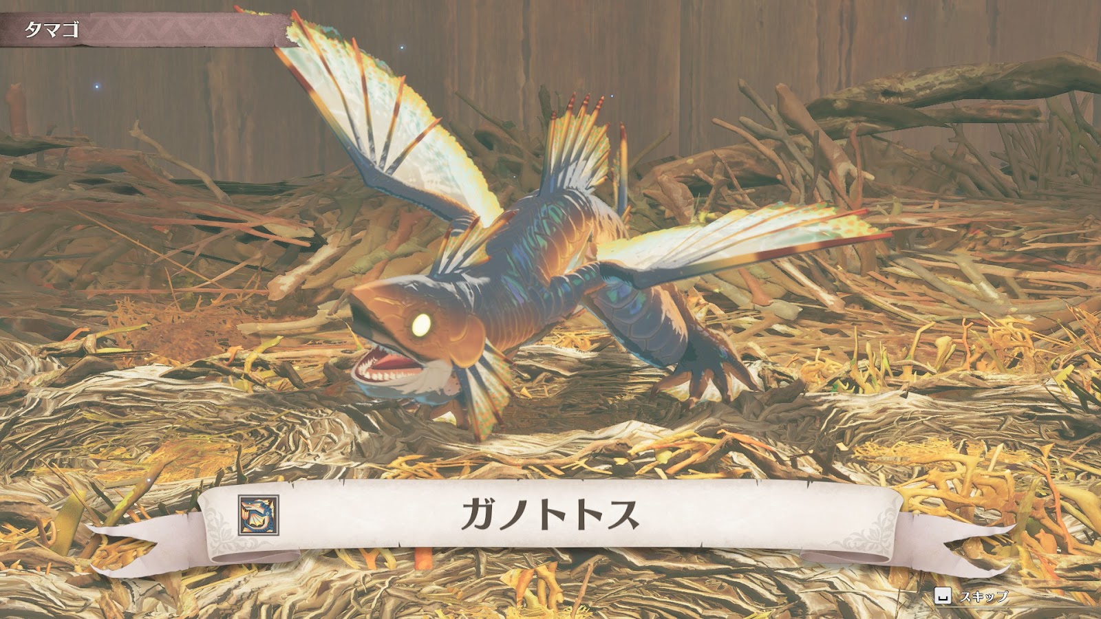 【先行プレイ】「当たり判定が理不尽」で有名なガノトトスの「亜空間タックル」がついに自分でぶっぱなせるようになった！！！_006