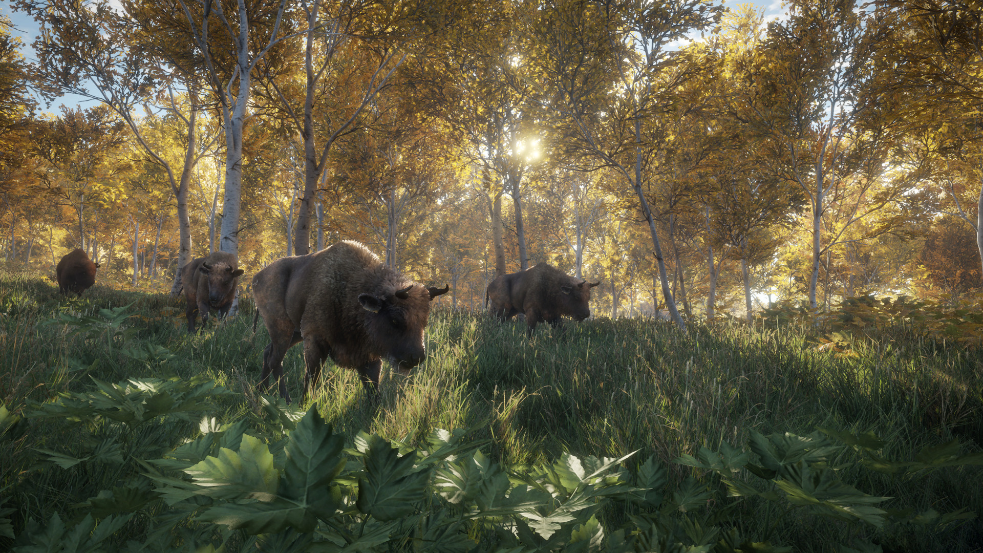 『theHunter: Call of the Wild』が90％オフの230円で買えるセールが開催中_001