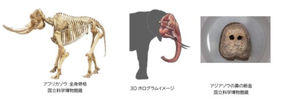 「超危険生物展 科学で挑む生き物の本気」の見どころとグッズについての情報が解禁_004