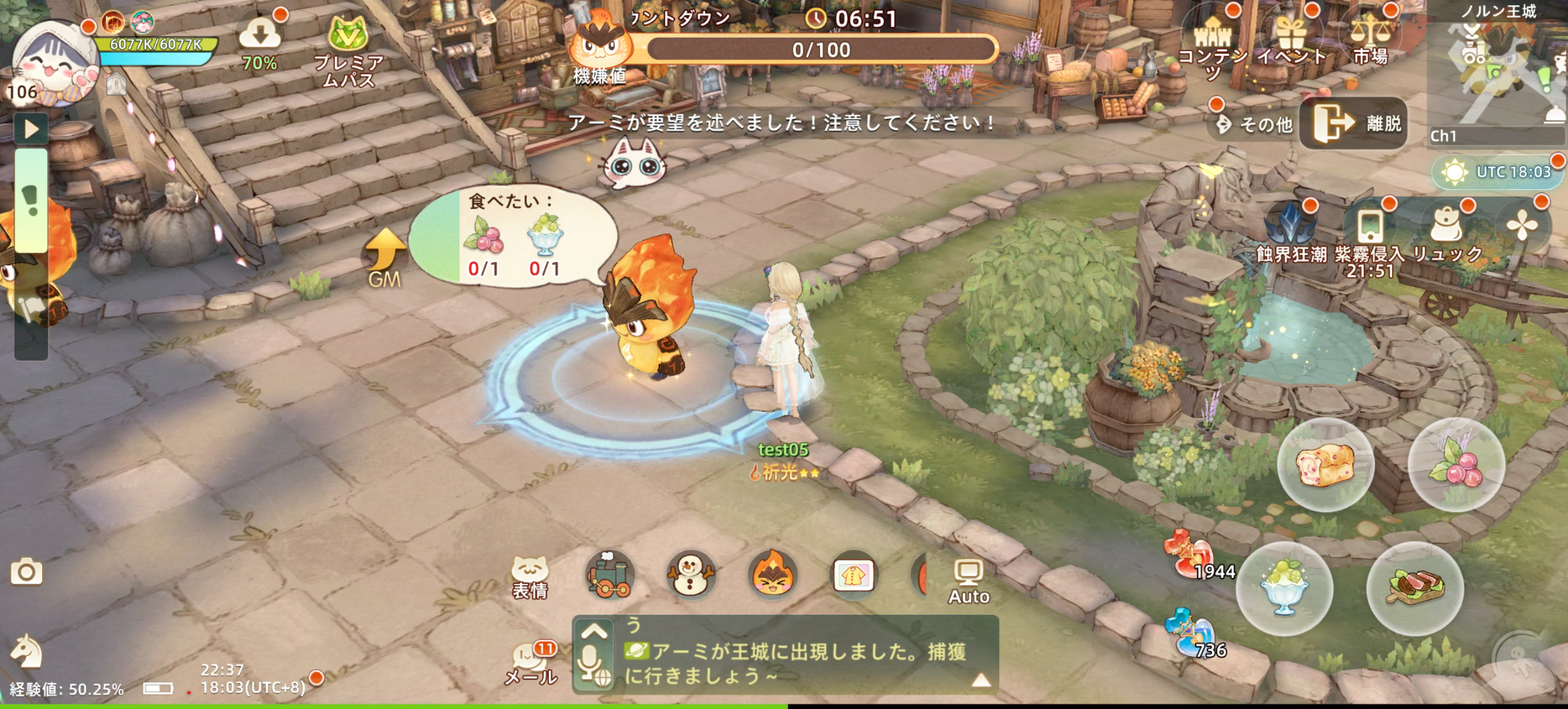 MMORPG『ツリーオブセイヴァー：ネバーランド』大型アプデで仲間になる新ペットが可愛すぎ_009