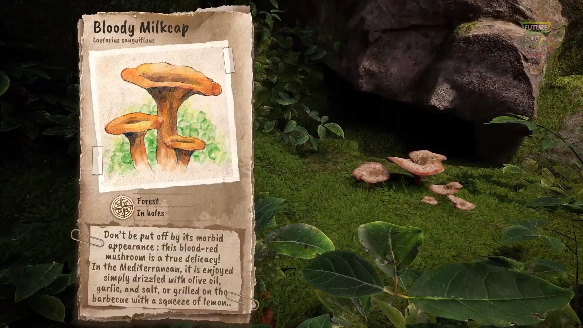 『アドラブル・アドベンチャー』（Adorable Adventures）、4月30日に発売決定_004