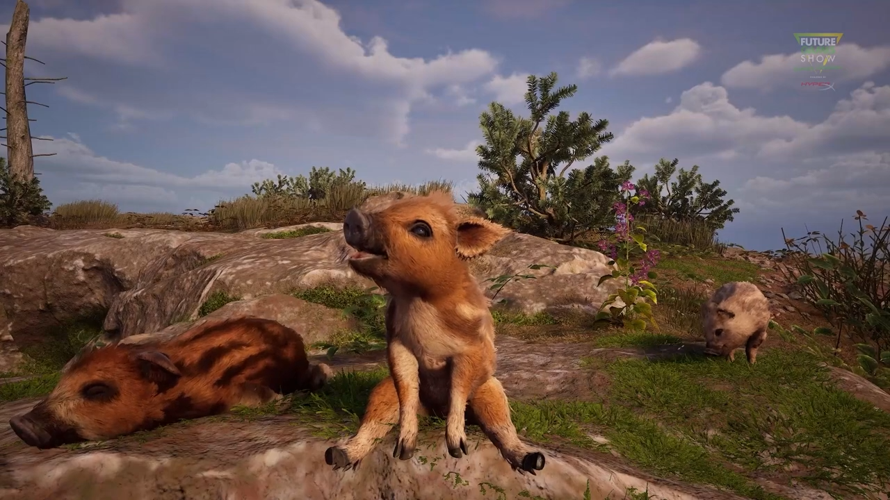 article-thumbnail-260313c