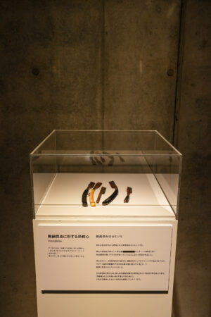 「恐怖心展」が大阪で開催。“恐怖心”に関する展示を行う展覧会_004