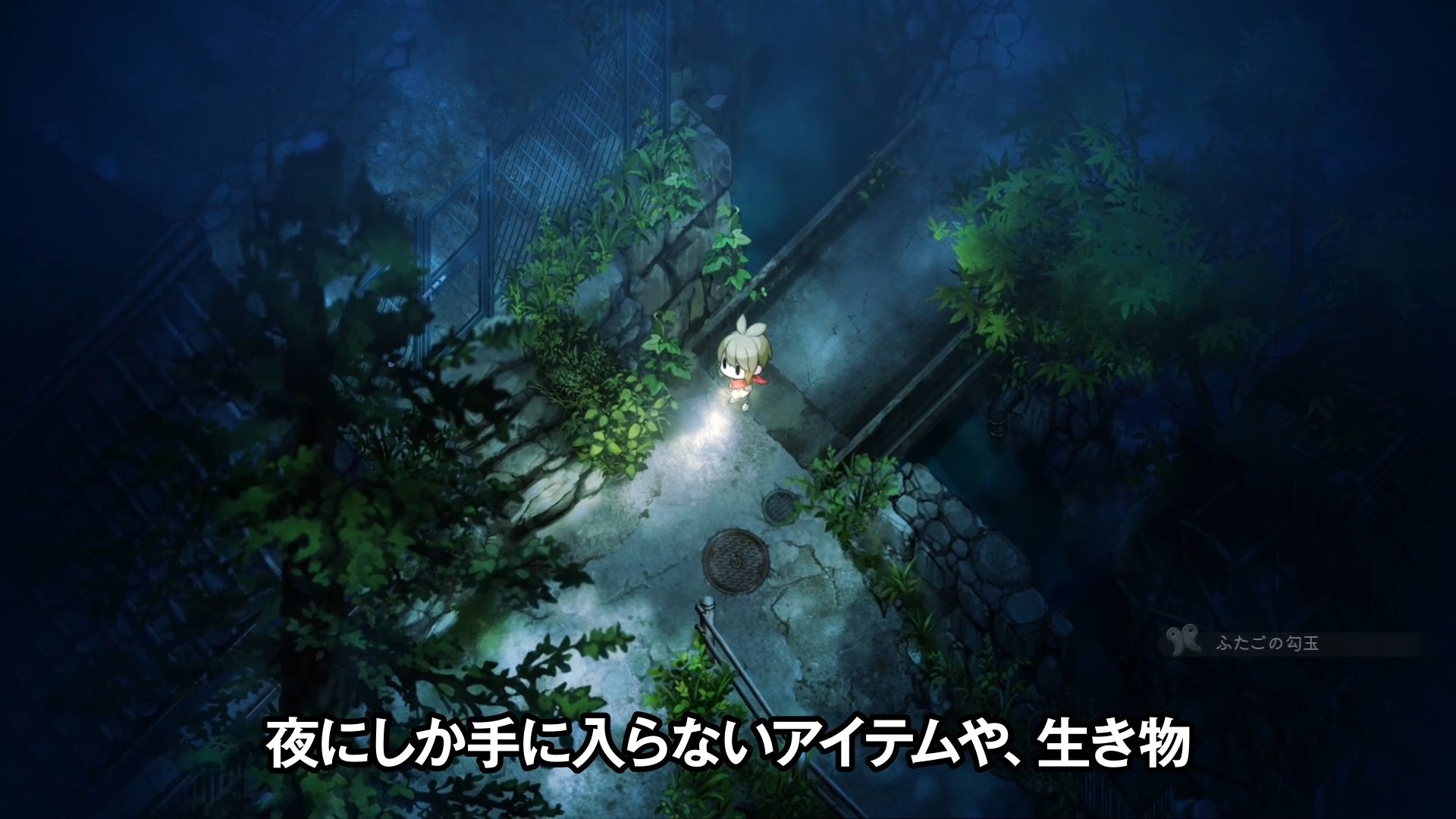 『ほの暮しの庭』最新映像が公開。昼と夜でふたつの顔を持つ「彼ヶ津村」の暮らしを紹介_003