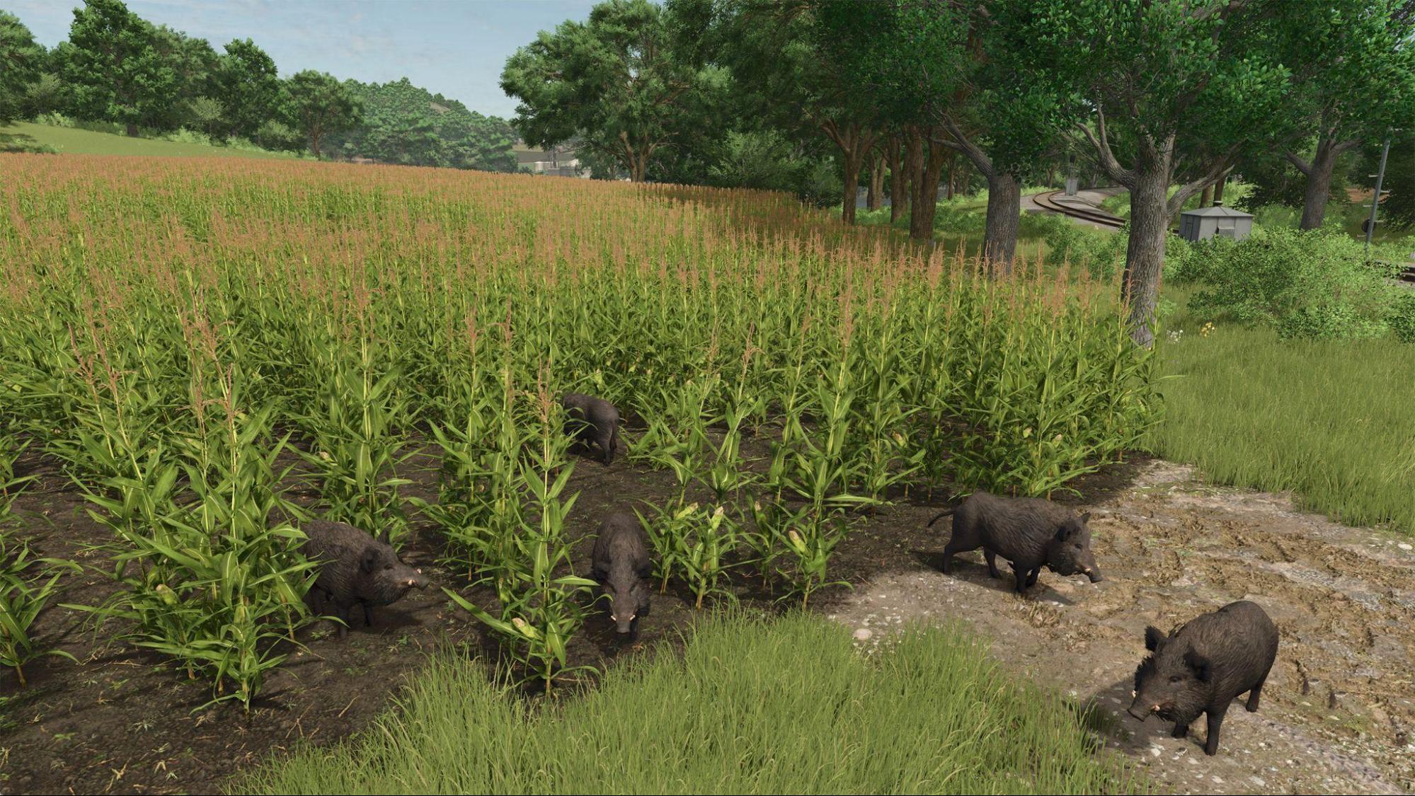 『ファーミングシミュレーター 25』都立農産高等学校・特別授業レポート_024