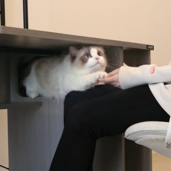 「猫ハウスデスク LCD-1000-GY」が発売。愛猫と一緒にゲームに没頭できるキャットハウス一体型デスク_014