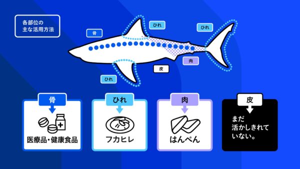 「SHARK BURGER（シャークバーガー）」の先行販売が開始。サメ革を採用したポータブルレコードプレーヤー_002