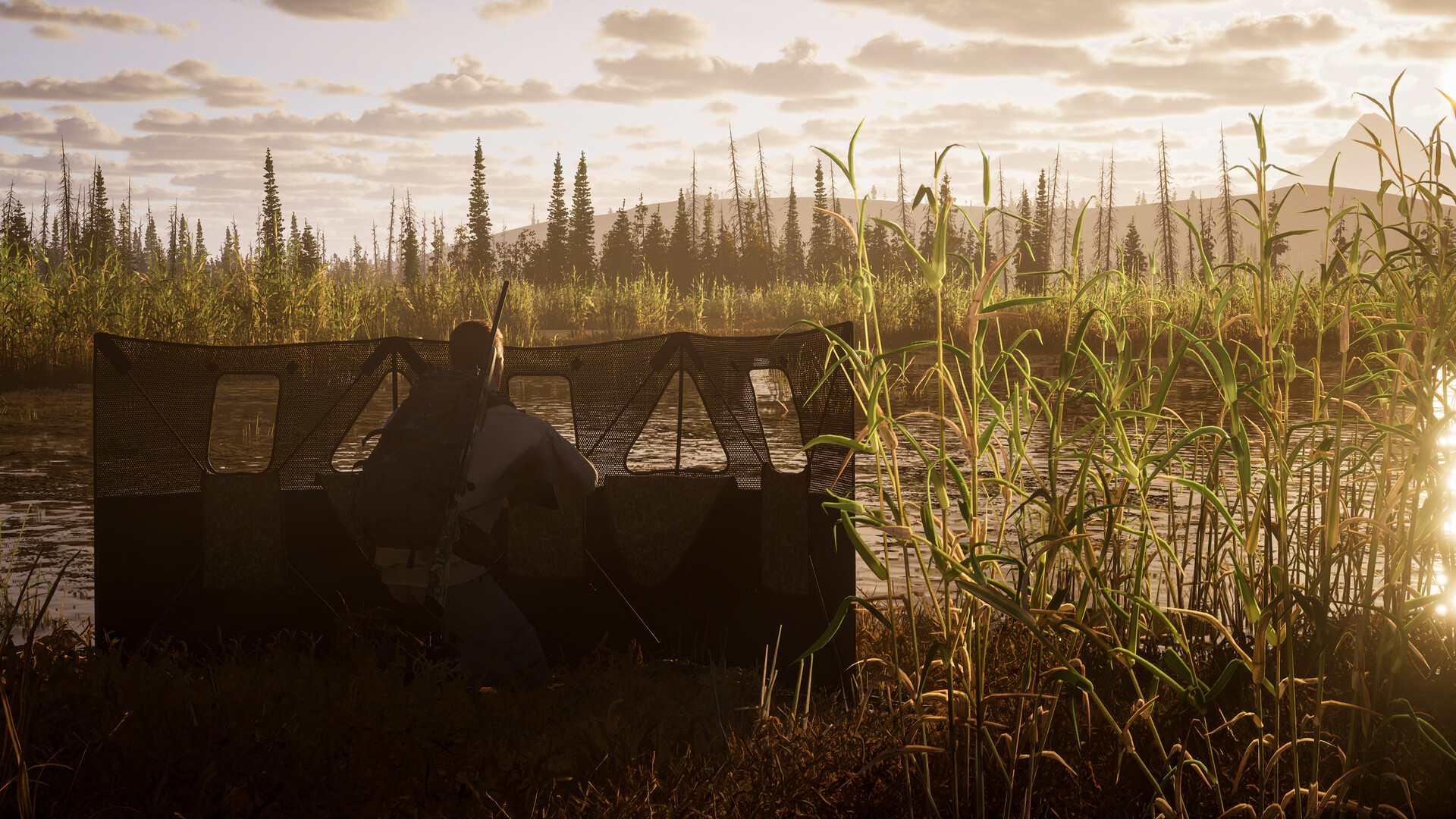 狩猟シミュレーター『Way of the Hunter 2』は30分歩いてやっと一発撃つ、BGMすらない“禅