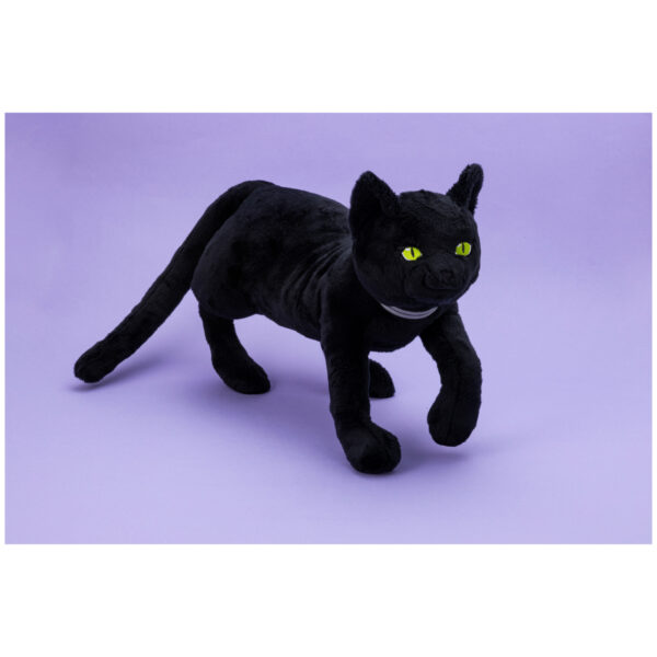 「RAIDOU VS 真・女神転生Ⅴ Vengeance スペシャルライブ」が8月23日に開催決定_005