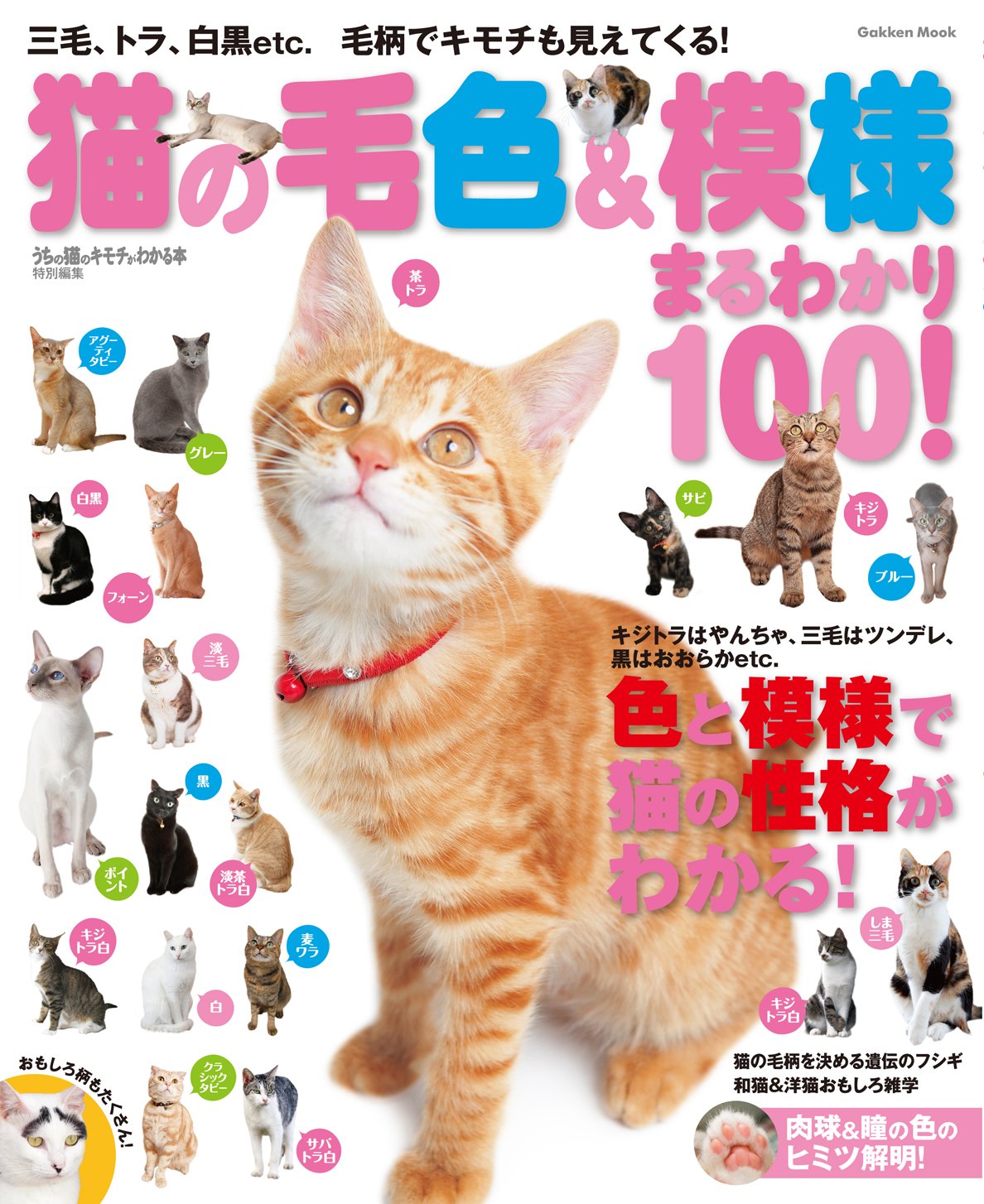 article-thumbnail-2604152m