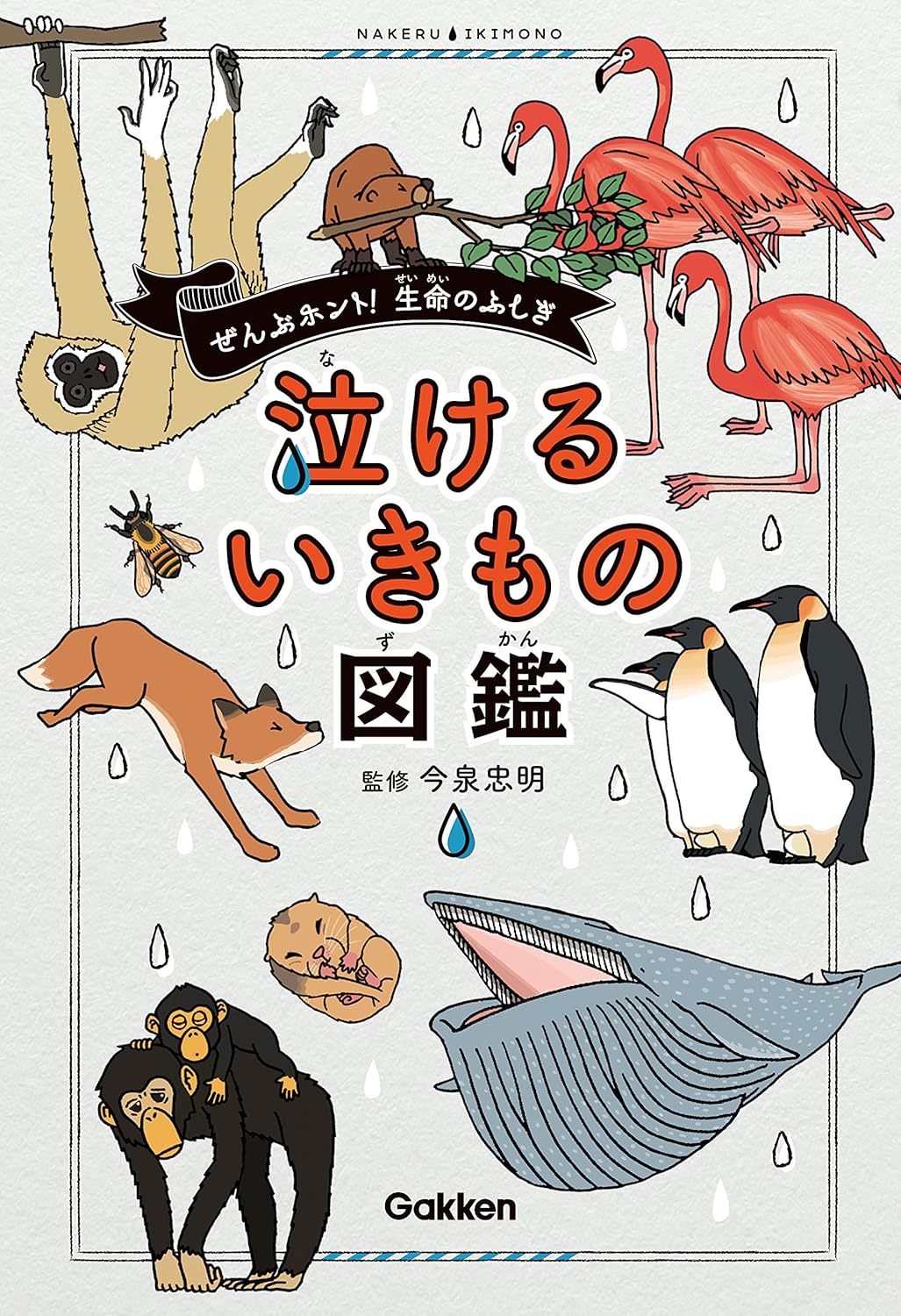 article-thumbnail-2604162o