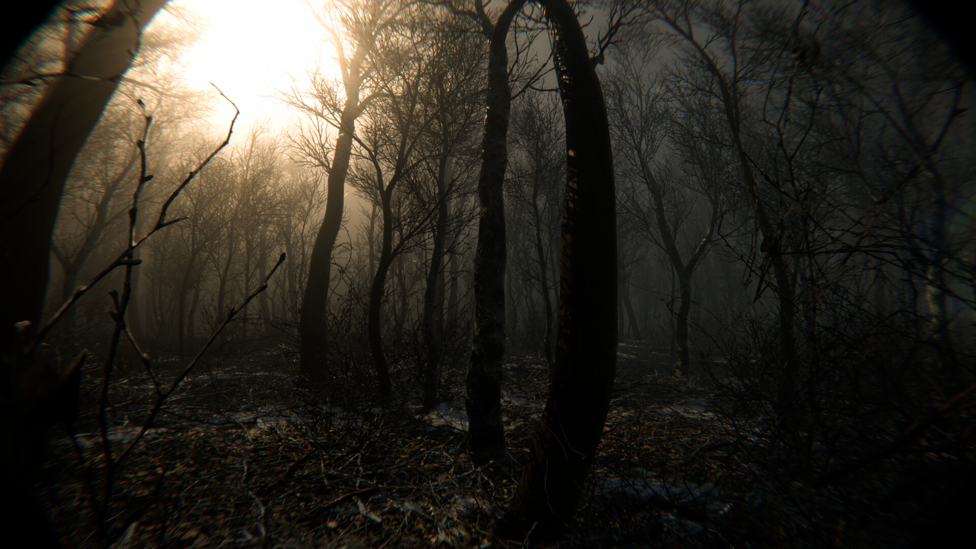 巨大な“ヘビ”から逃げて脱出を目指すサバイバルホラーゲーム『DIGESTED』が面白そう_003