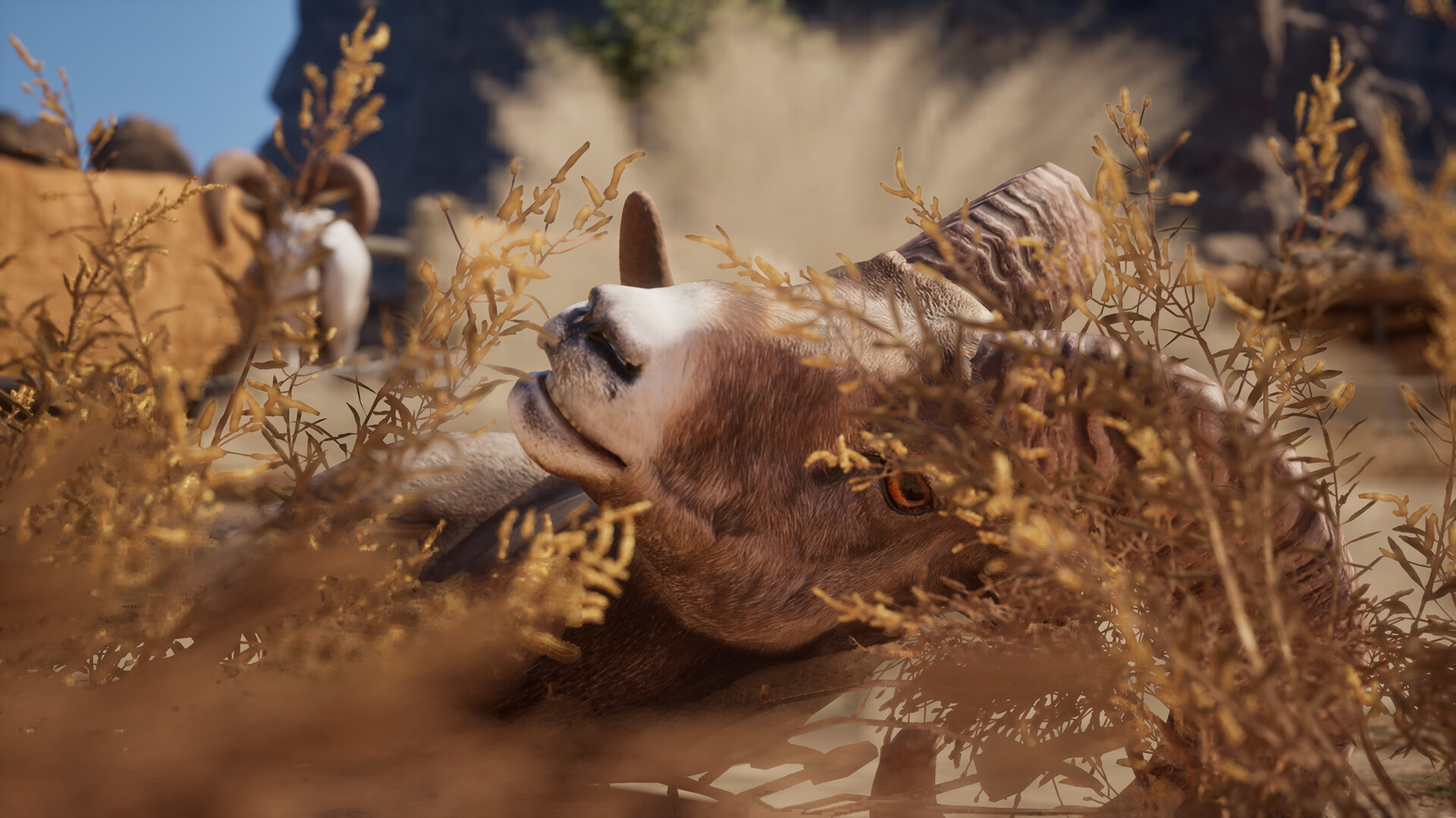 ツノ付きのヤギがガチでぶつかり合う対戦ゲーム『Ram Fights』が面白そう。物理演算もりもりのアリーナで大乱闘_005