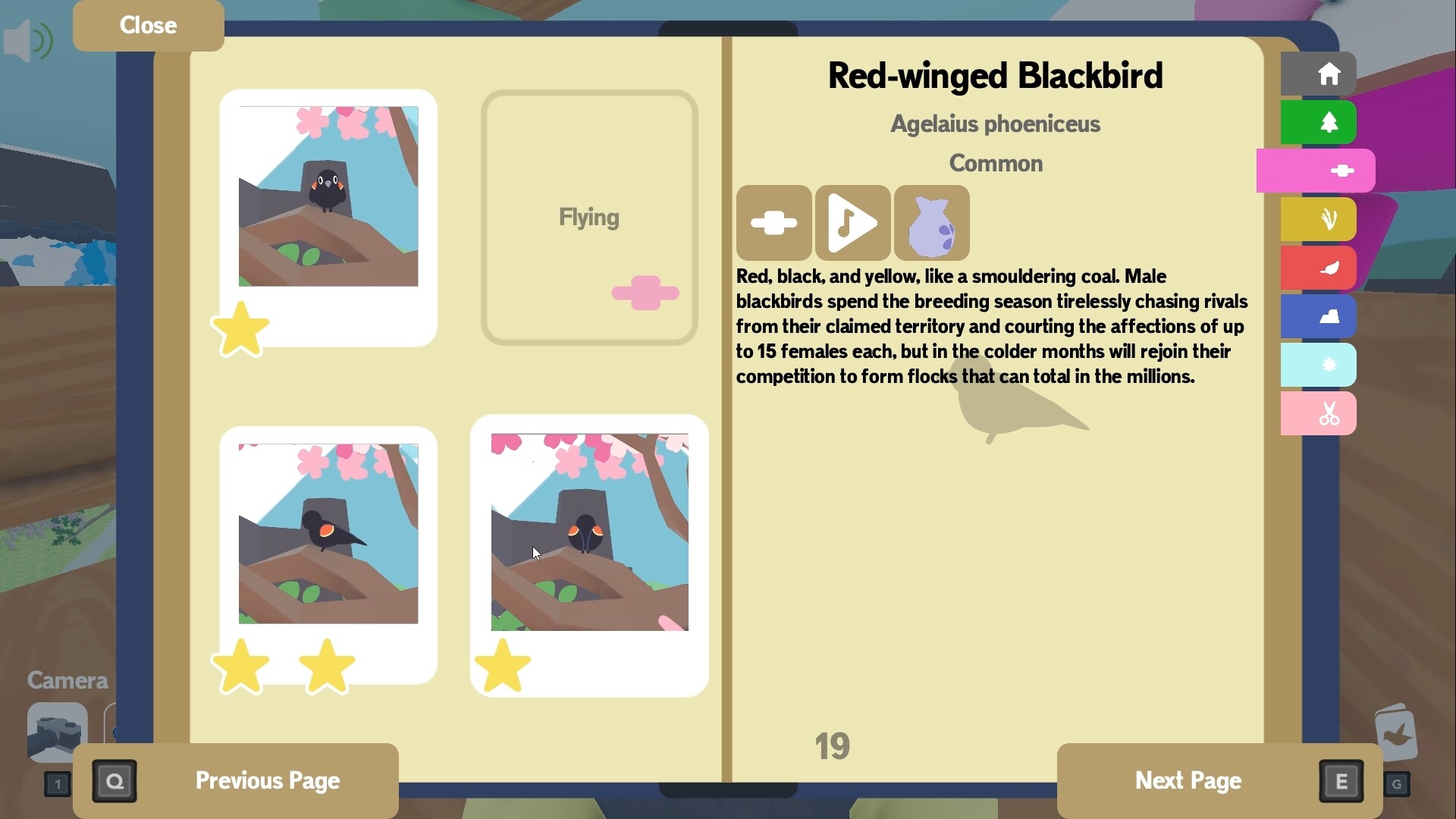 『Flock Around』が「圧倒的に好評」スタート。最大10人マルチ対応の野鳥観察・写真撮影ゲーム_003