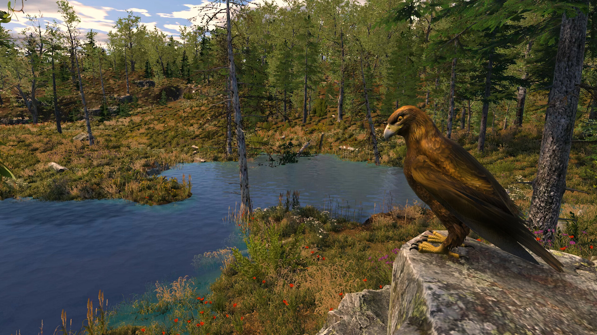 野生動物撮影シミュレーションゲーム『Capture The Wild』のSteamストアページが公開中_002