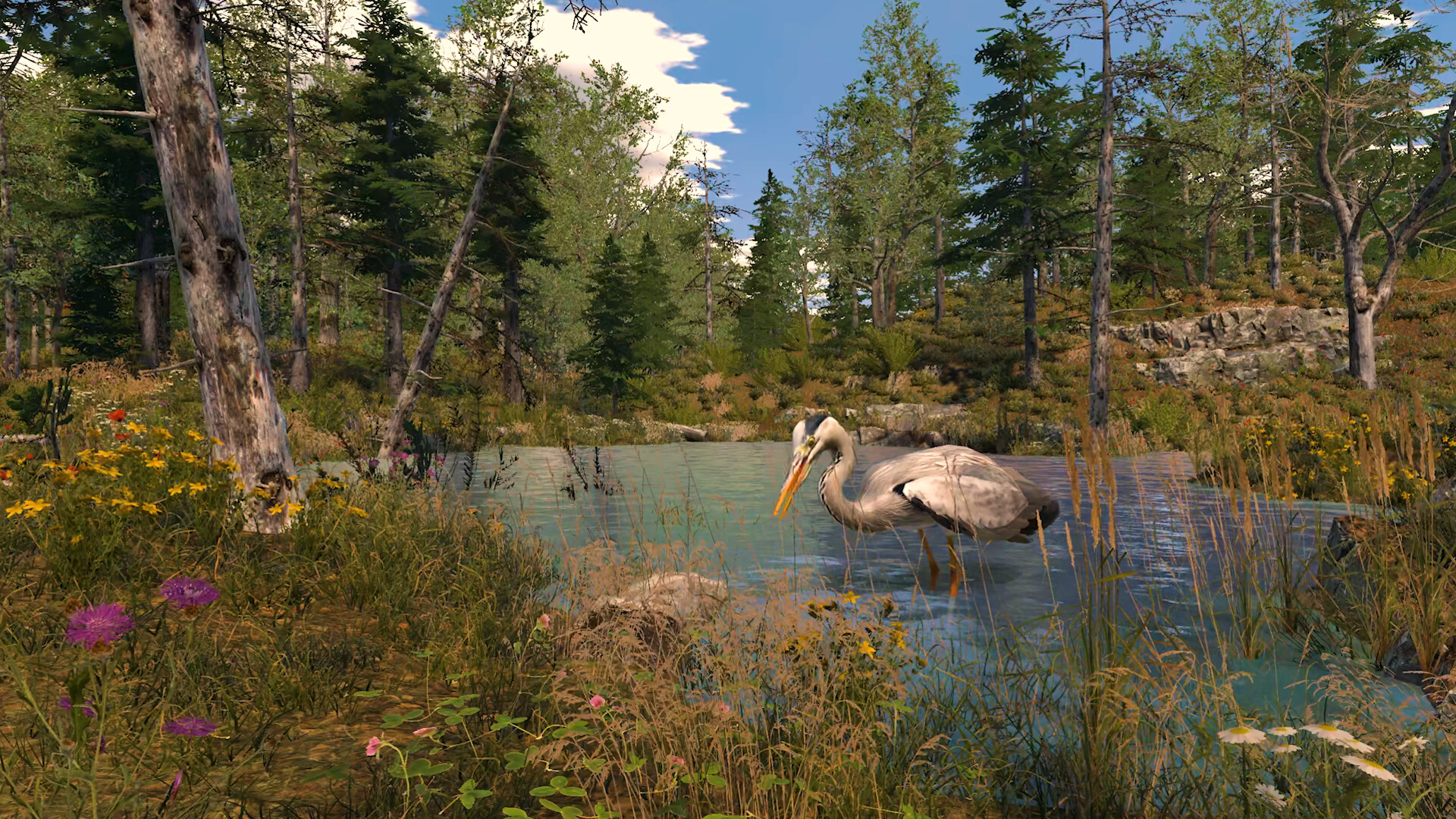 野生動物撮影シミュレーションゲーム『Capture The Wild』のSteamストアページが公開中_004